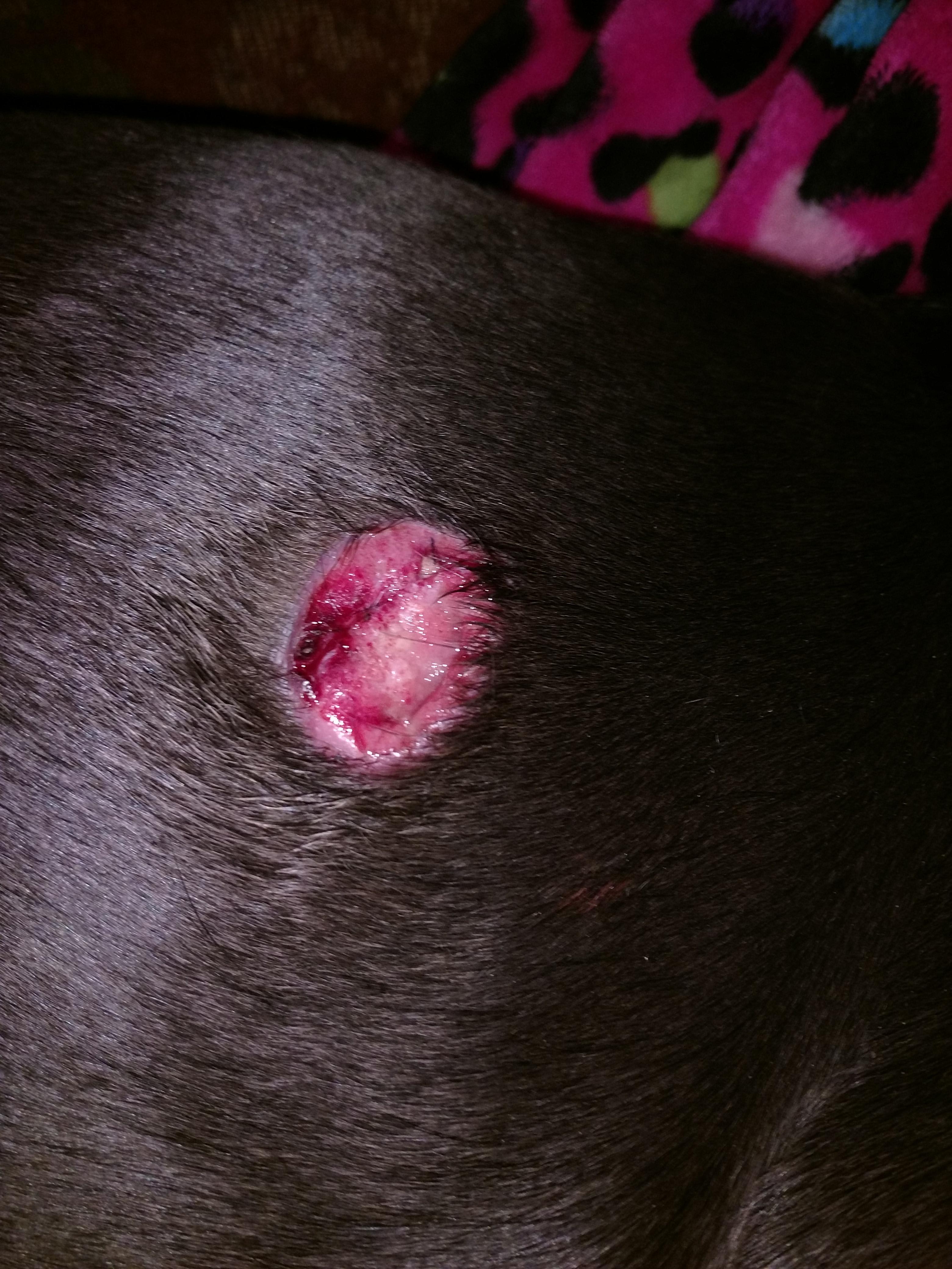 Question details sensitive content