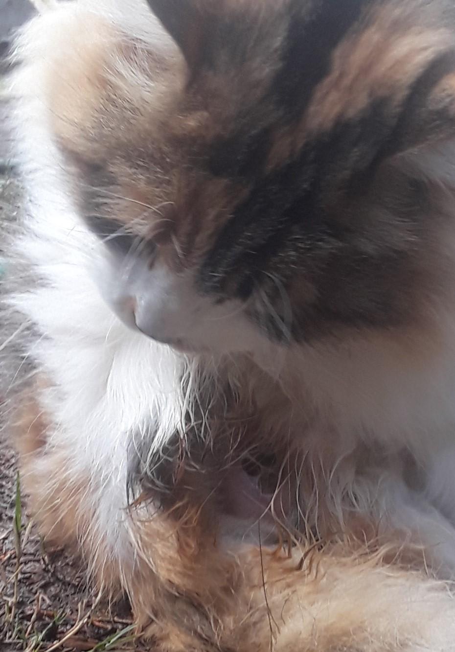 Question details sensitive content