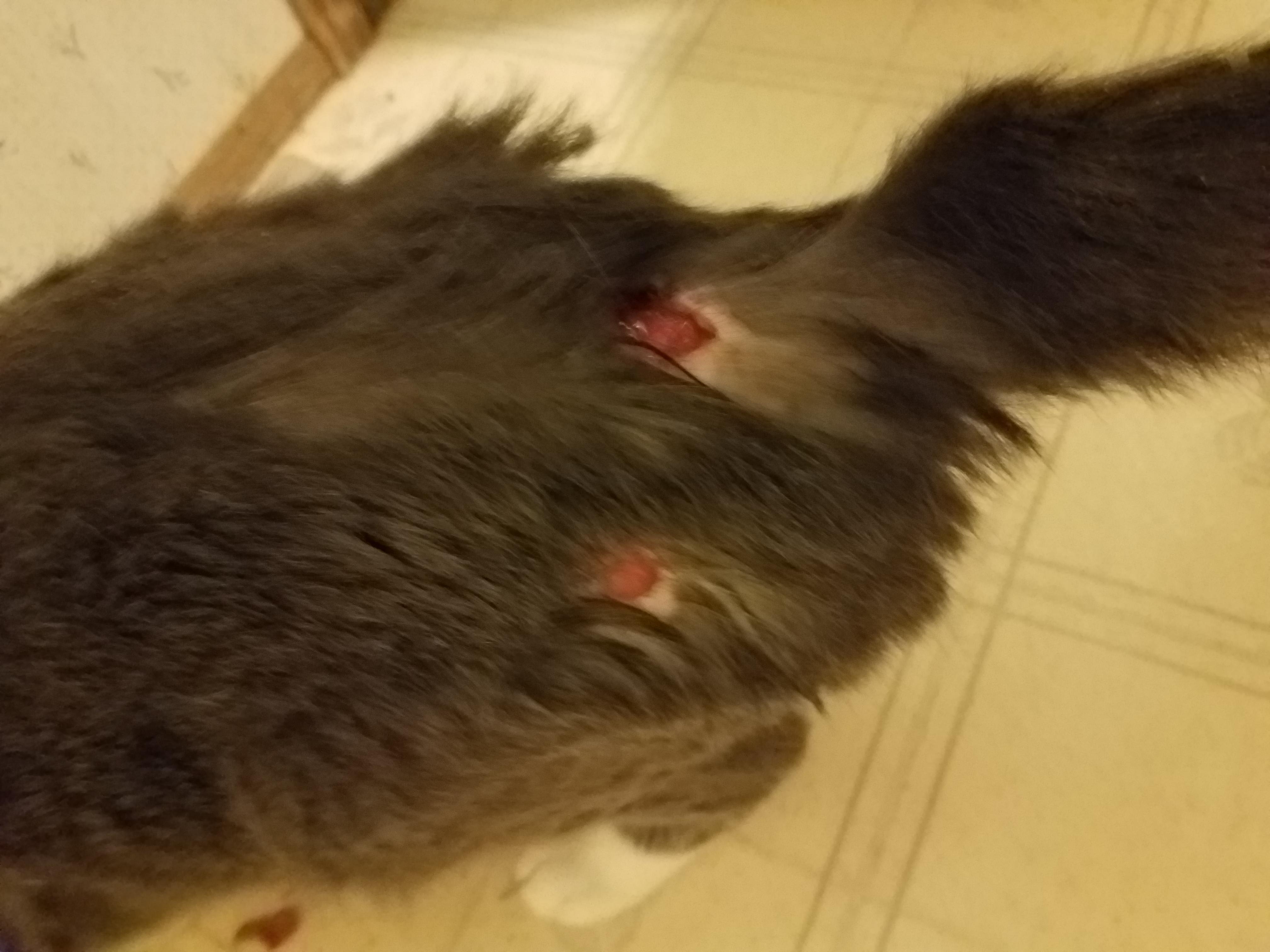 Question details sensitive content