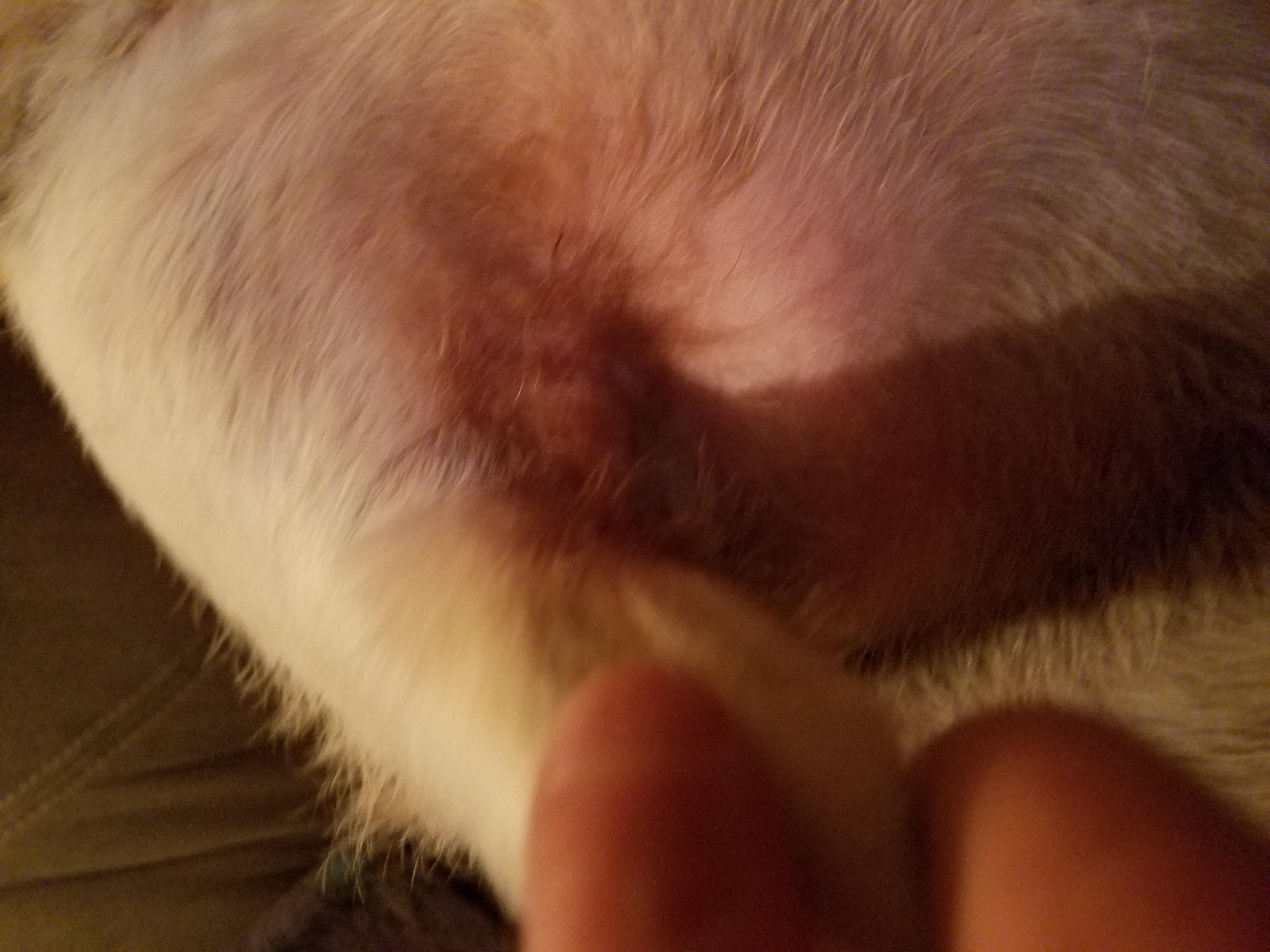 Question details sensitive content