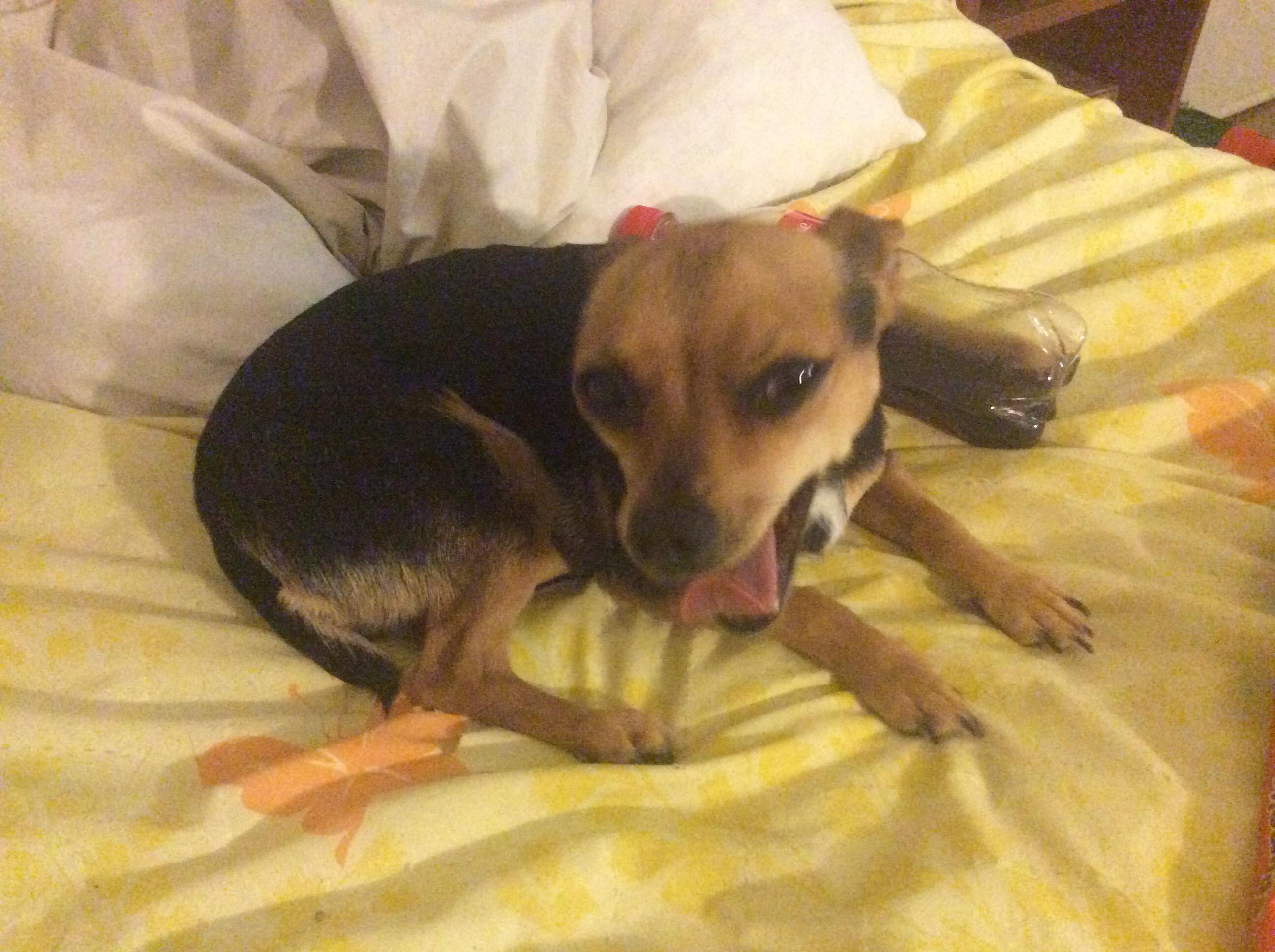 Question details sensitive content