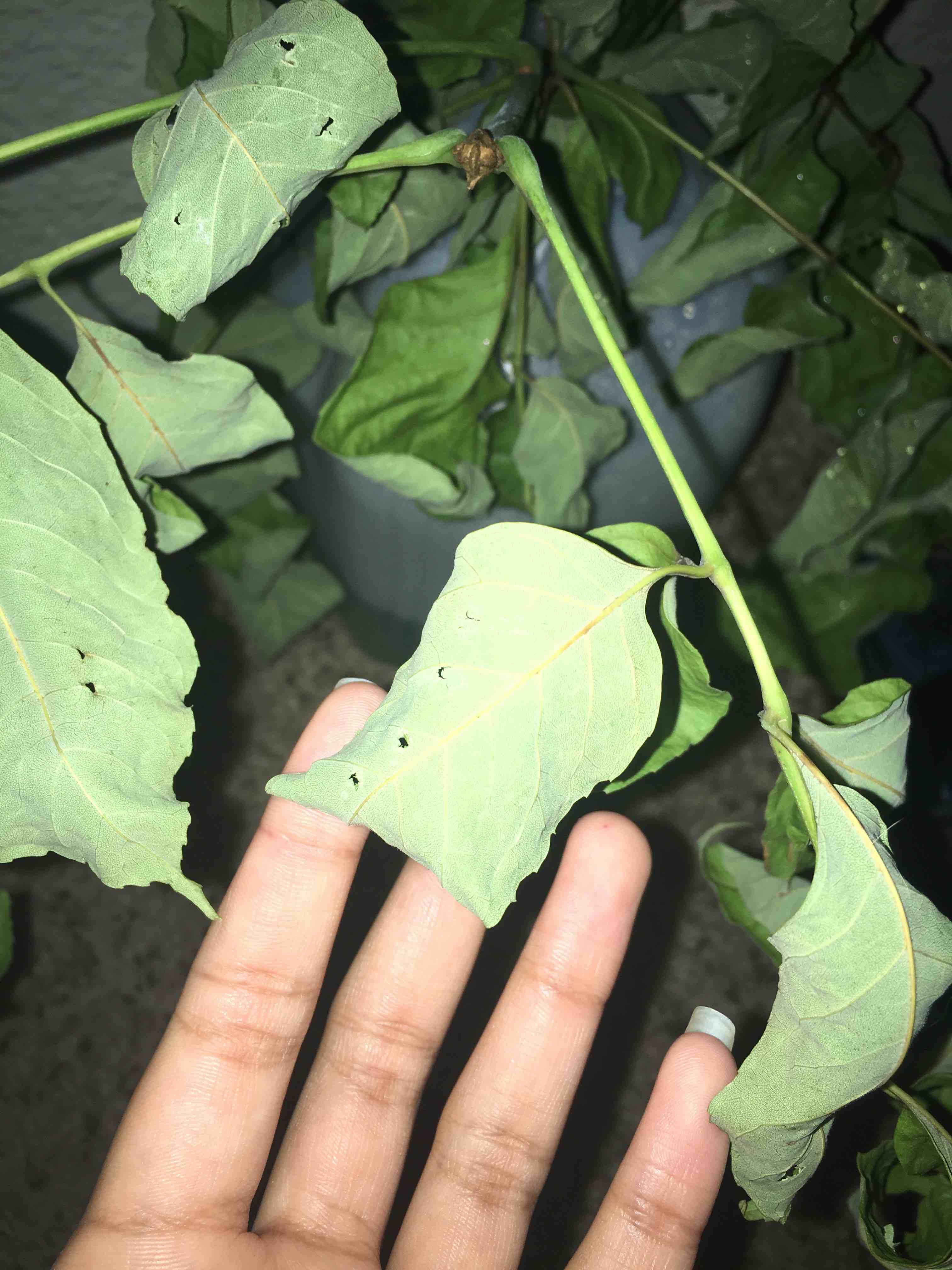 Question details sensitive content