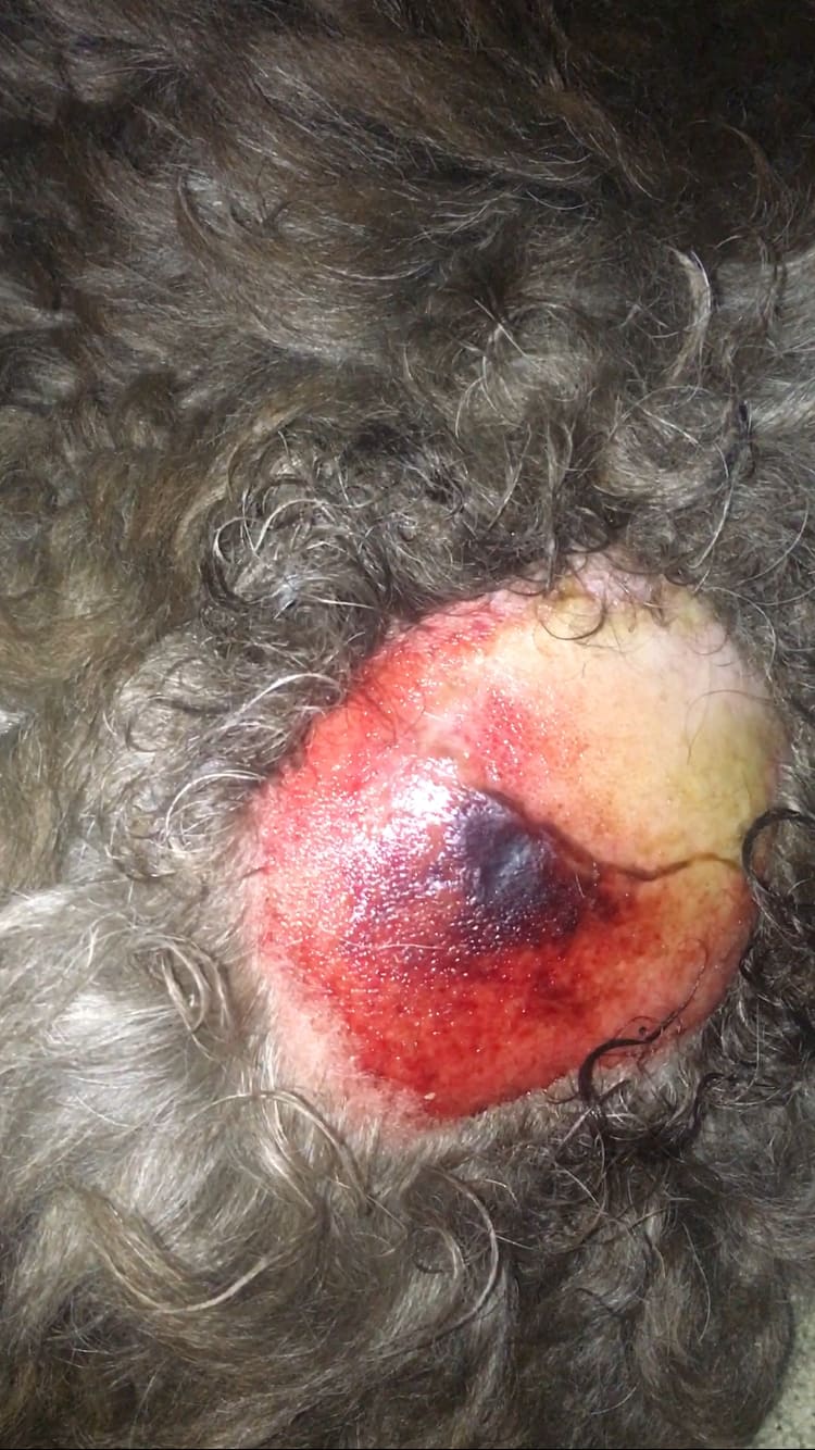 Question details sensitive content