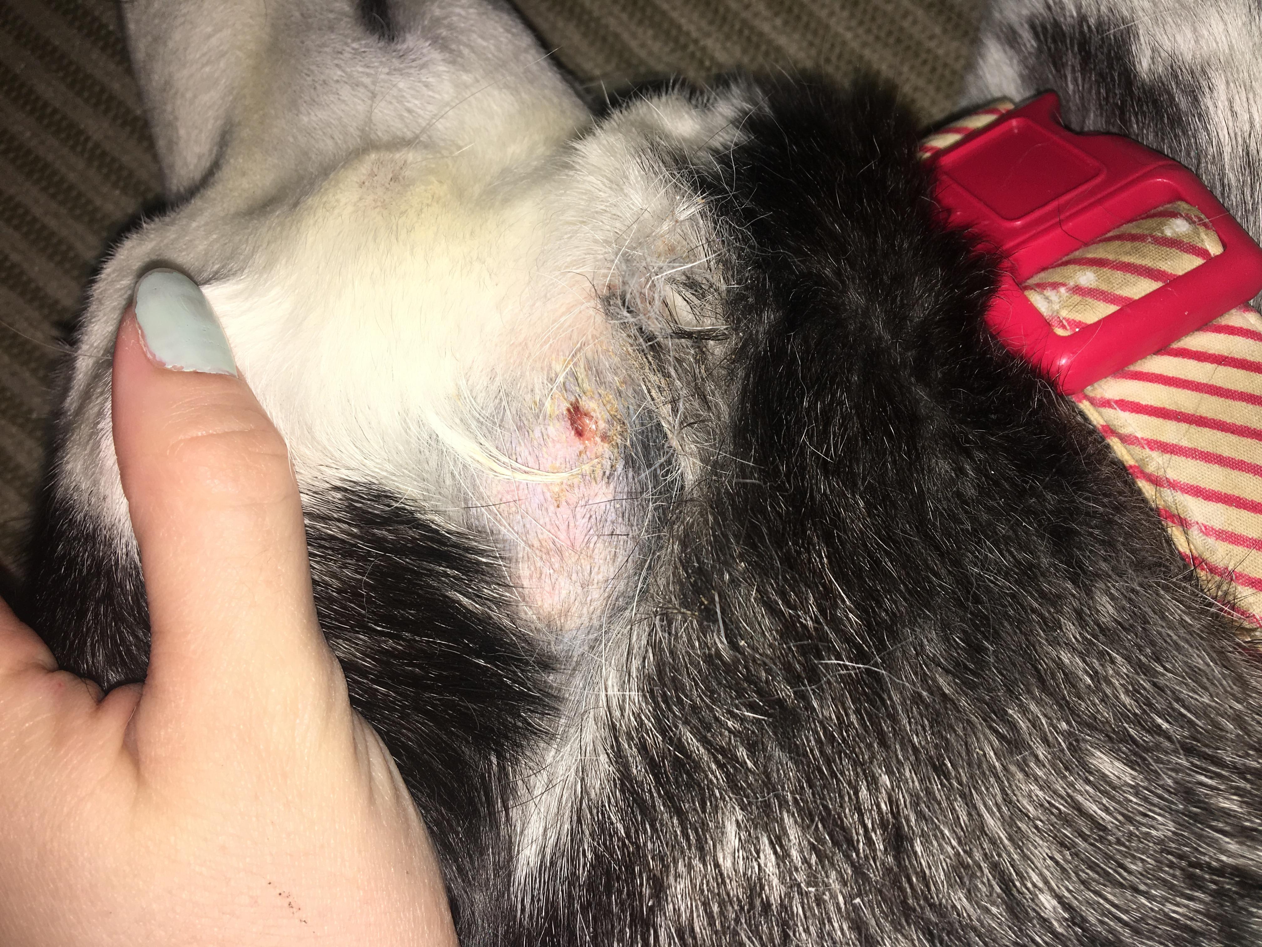 Question details sensitive content