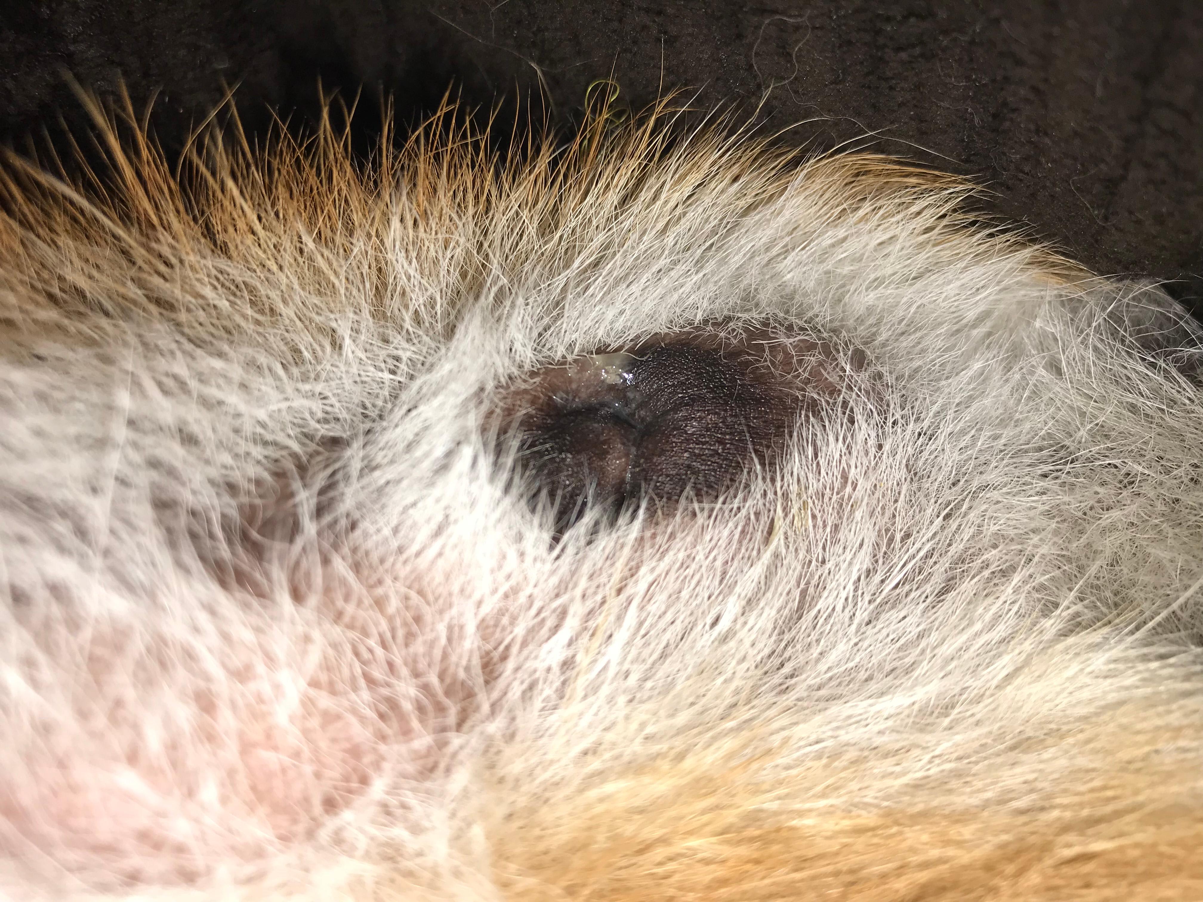 Question details sensitive content