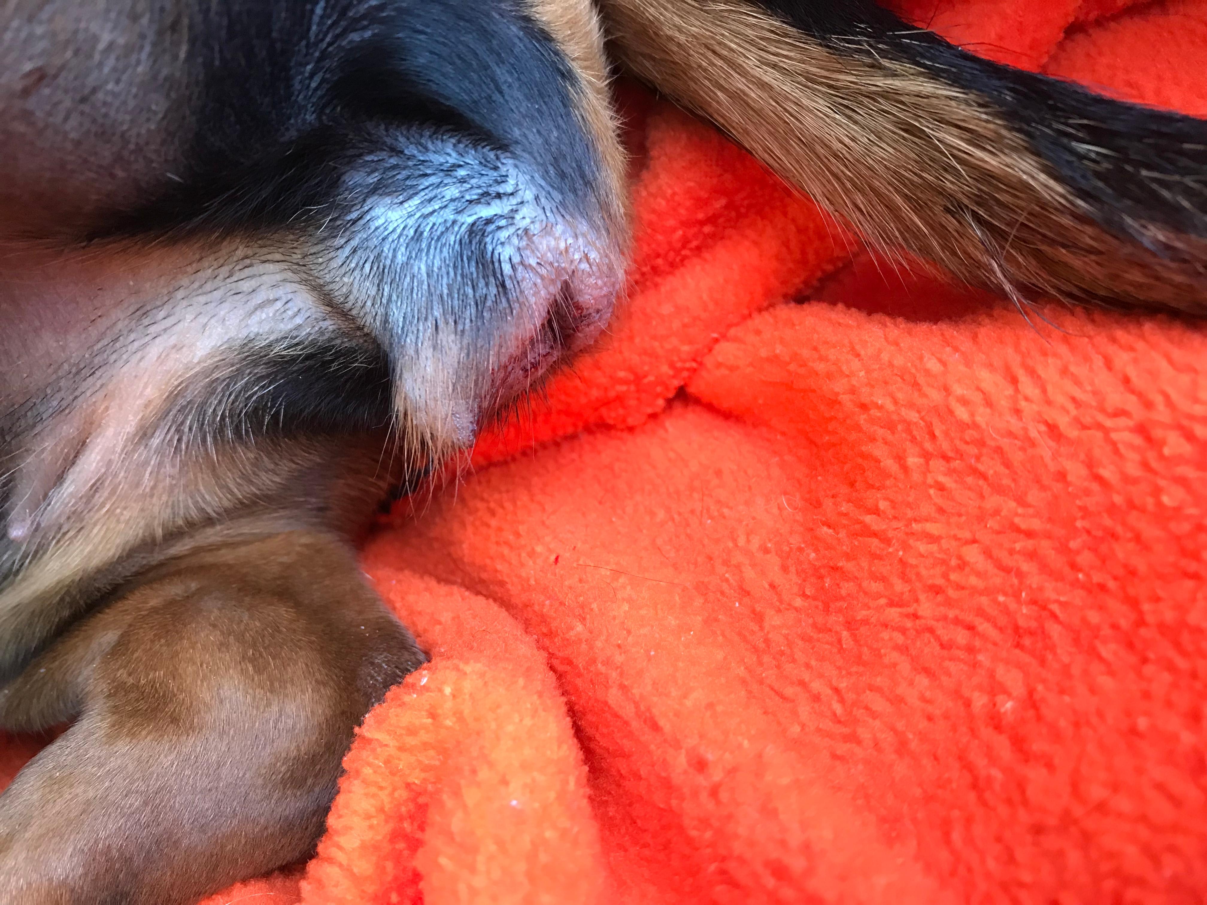 Question details sensitive content