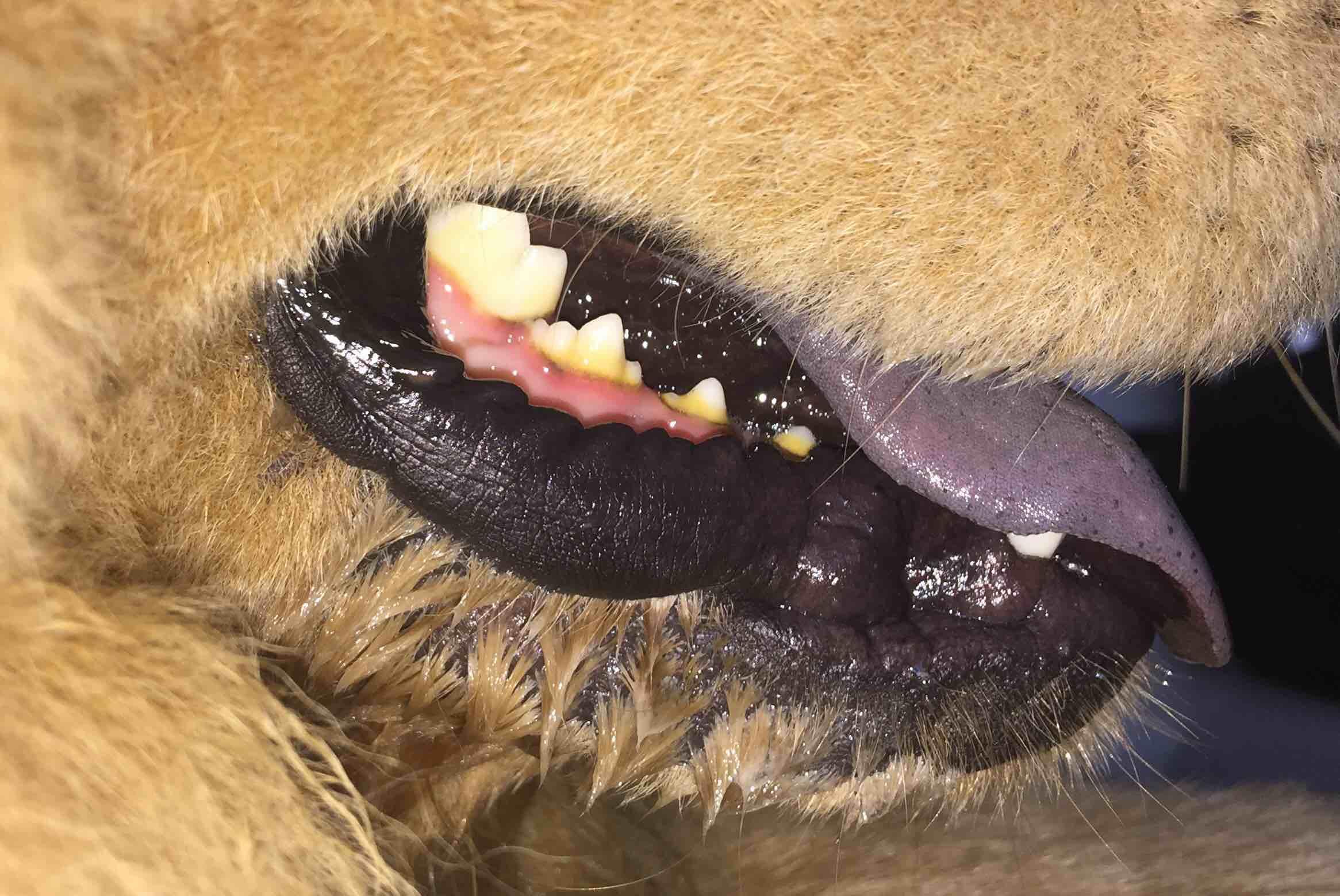 Question details sensitive content