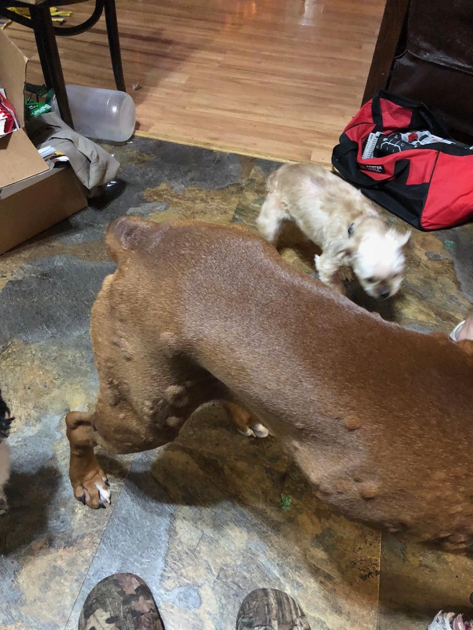 Question details sensitive content