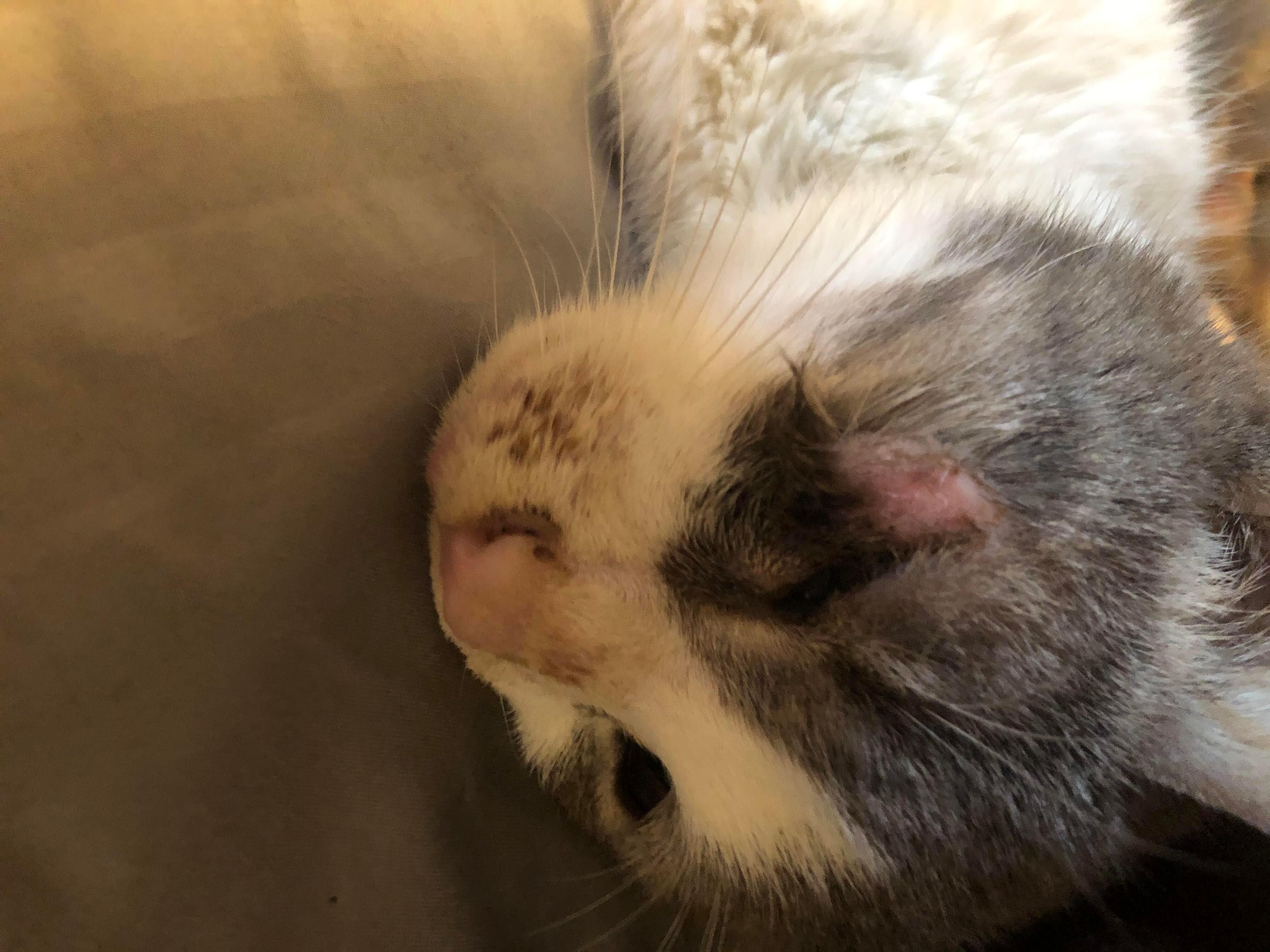 Question details sensitive content