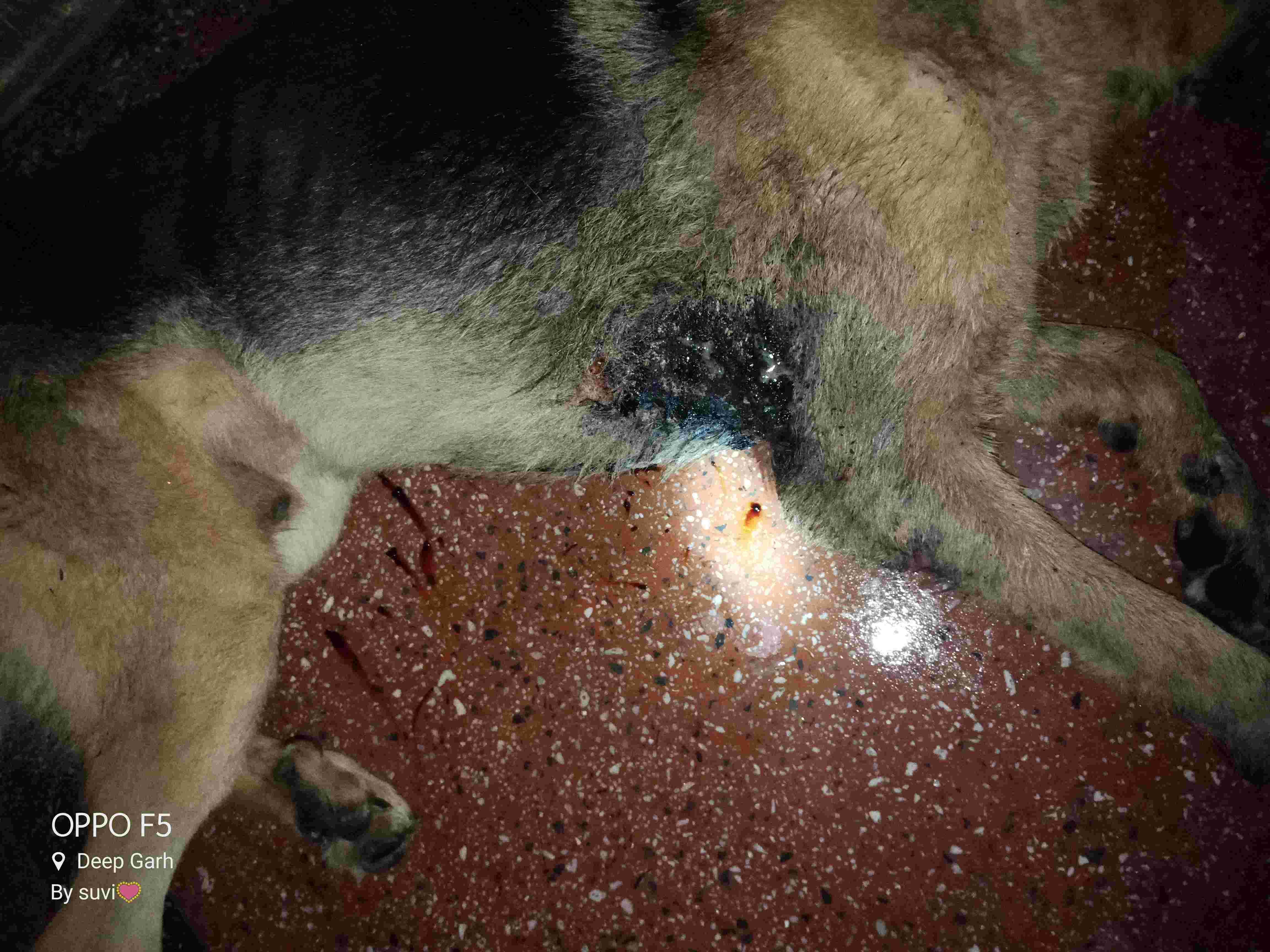 Question details sensitive content