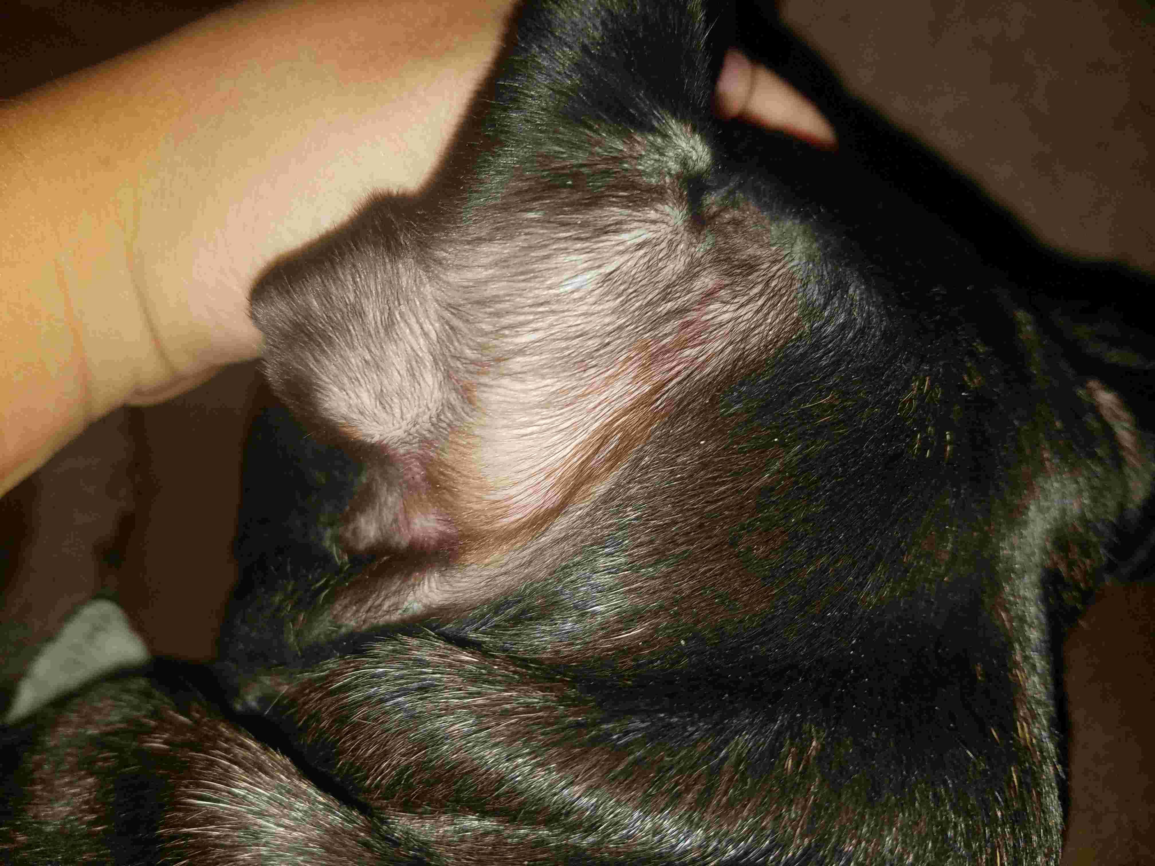 Question details sensitive content