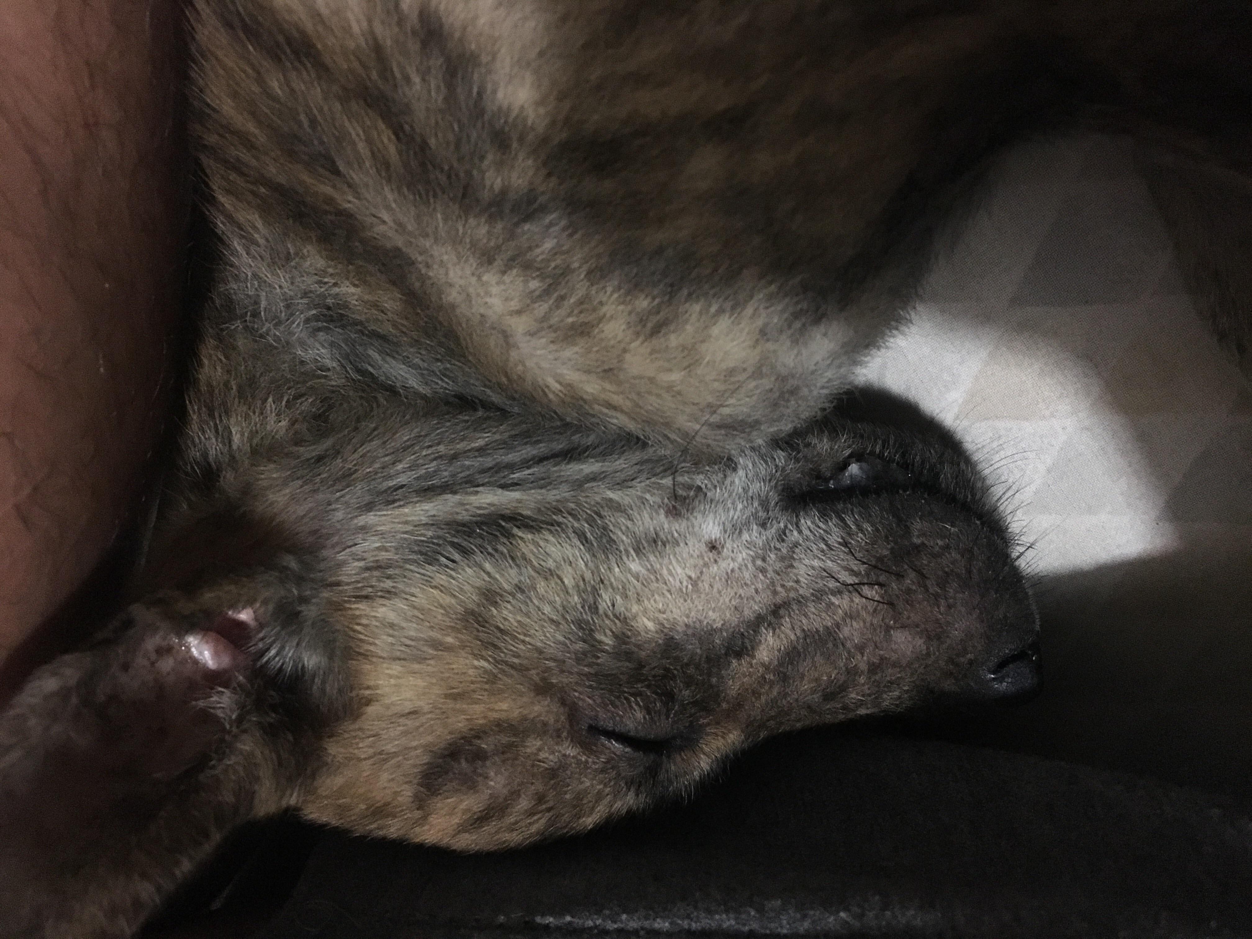 Question details sensitive content