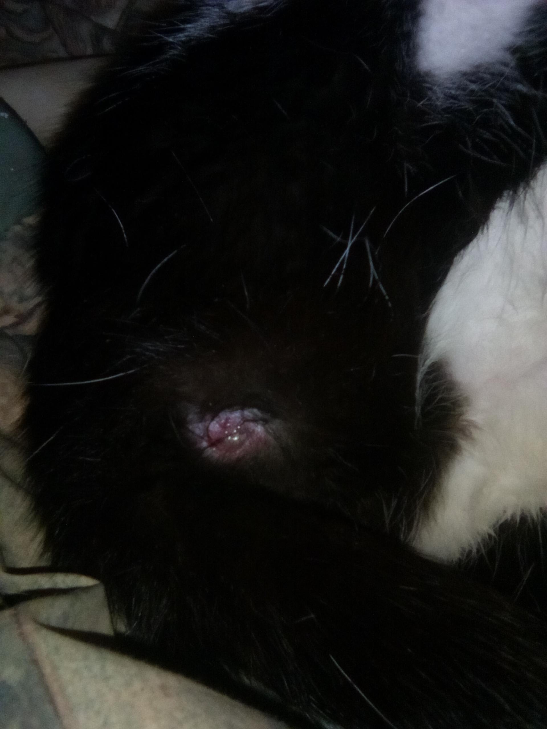 Question details sensitive content