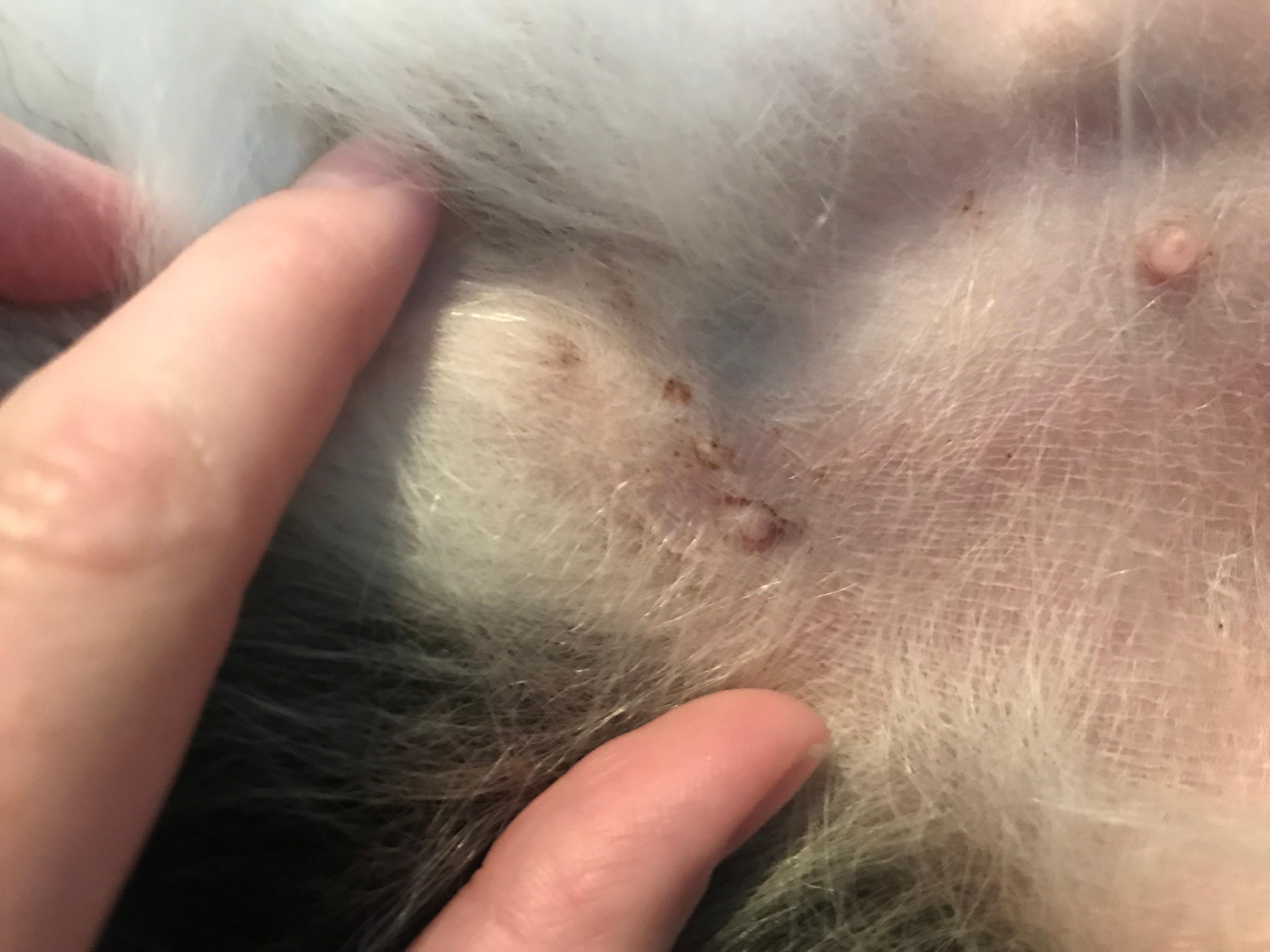 Question details sensitive content