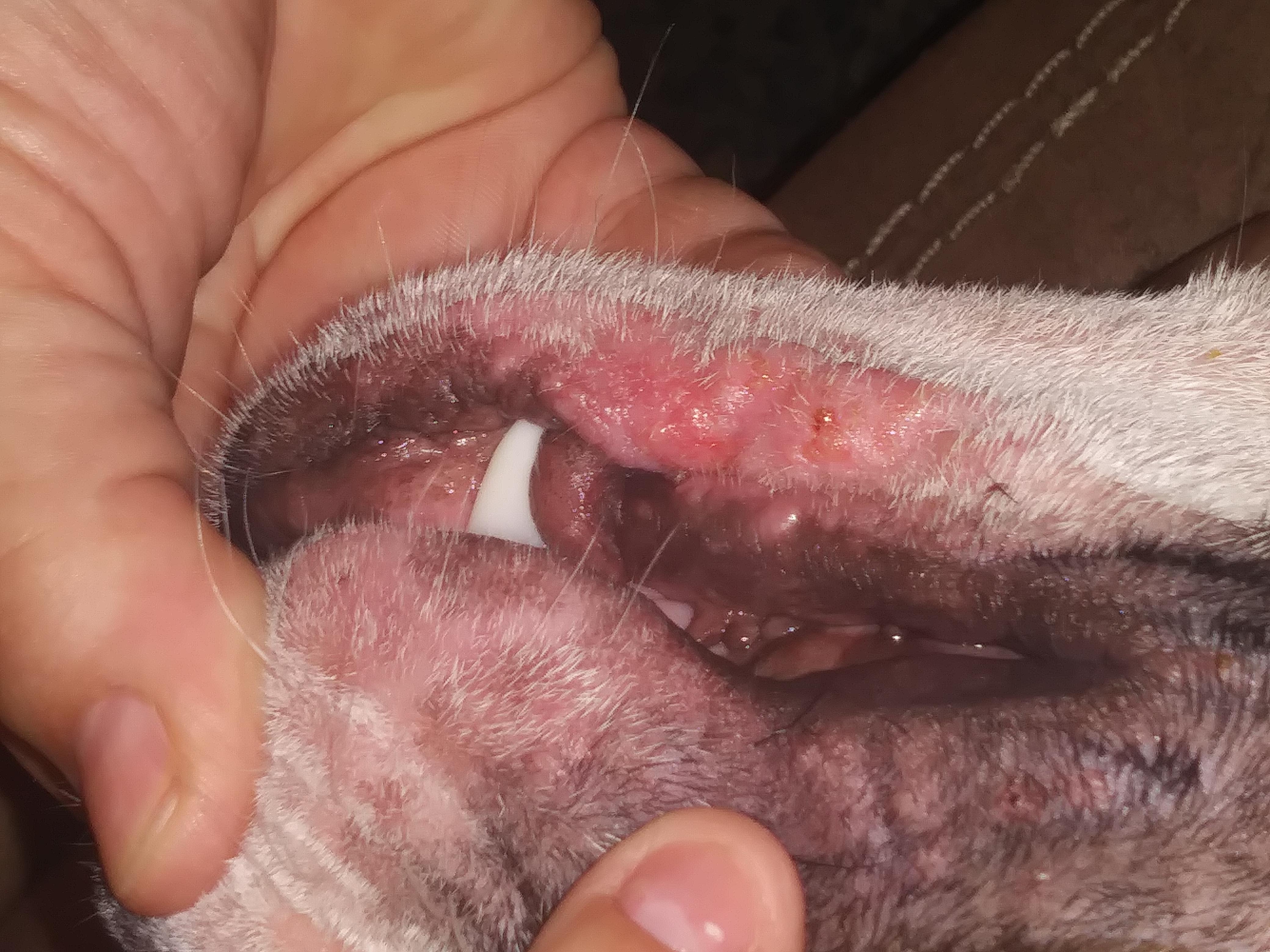 Question details sensitive content