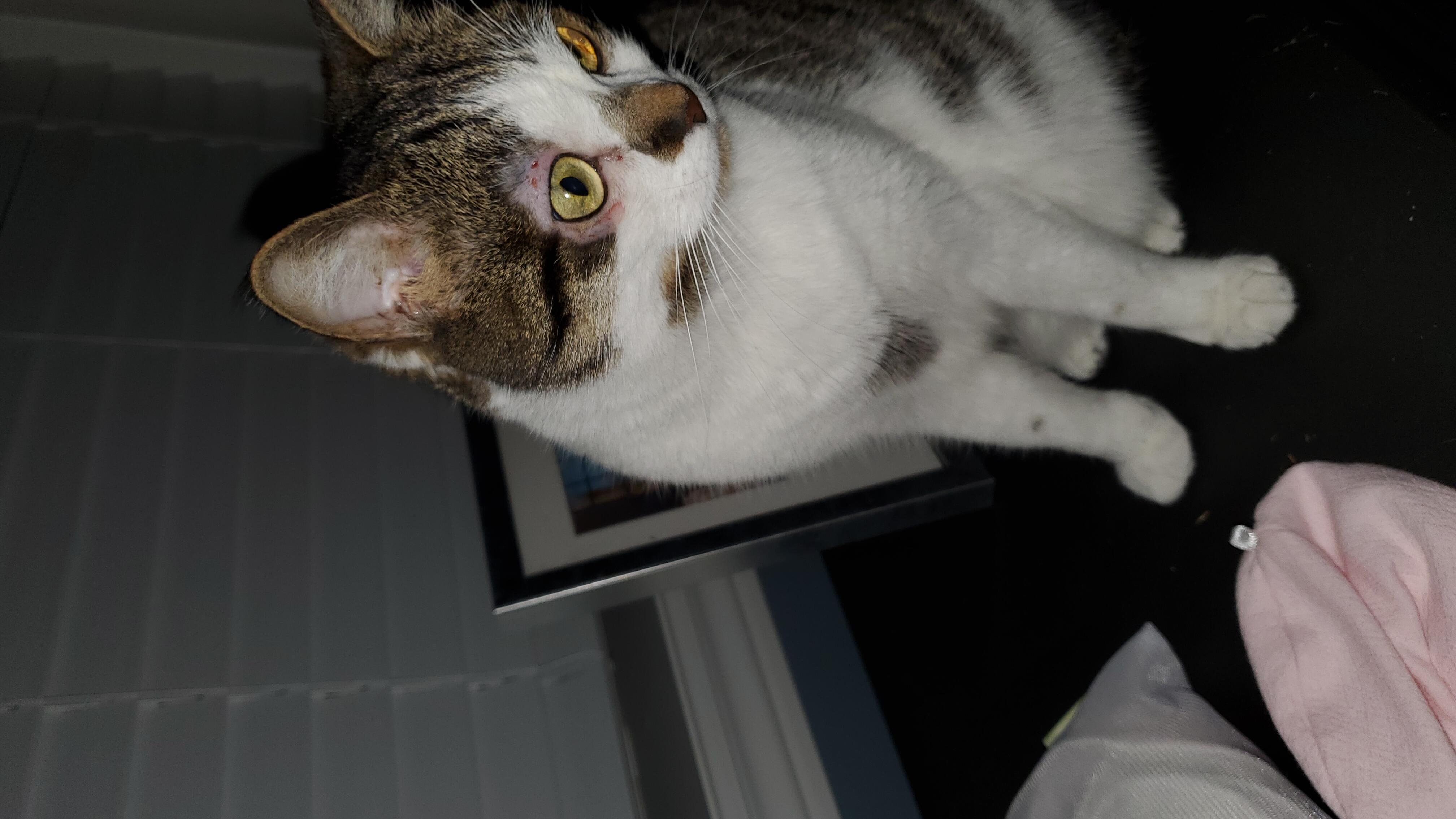 Question details sensitive content