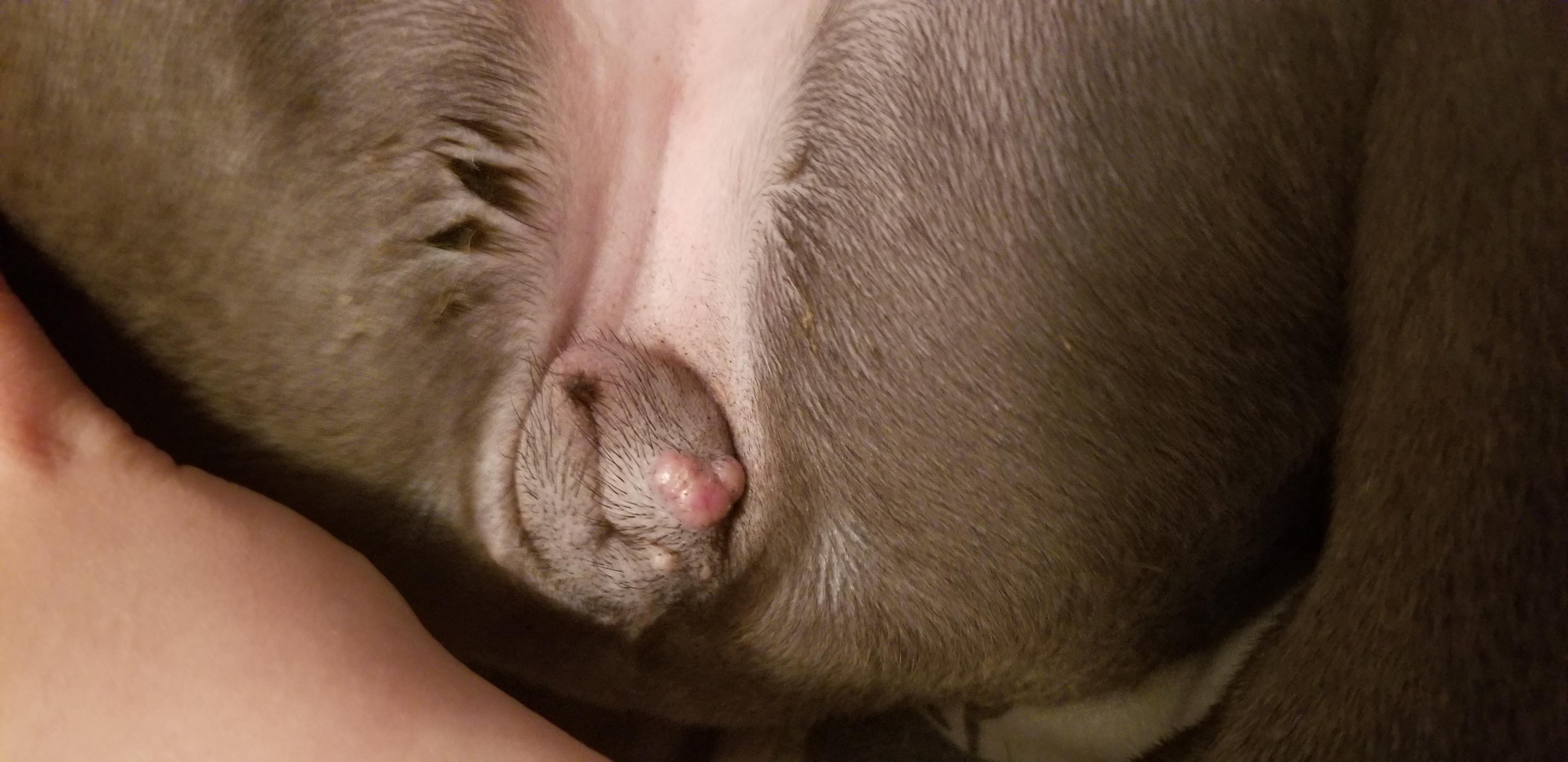 Question details sensitive content