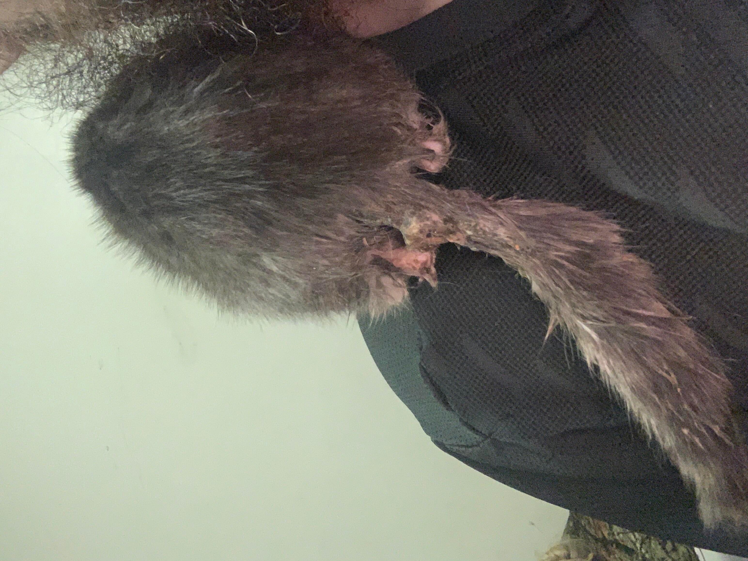 Question details sensitive content