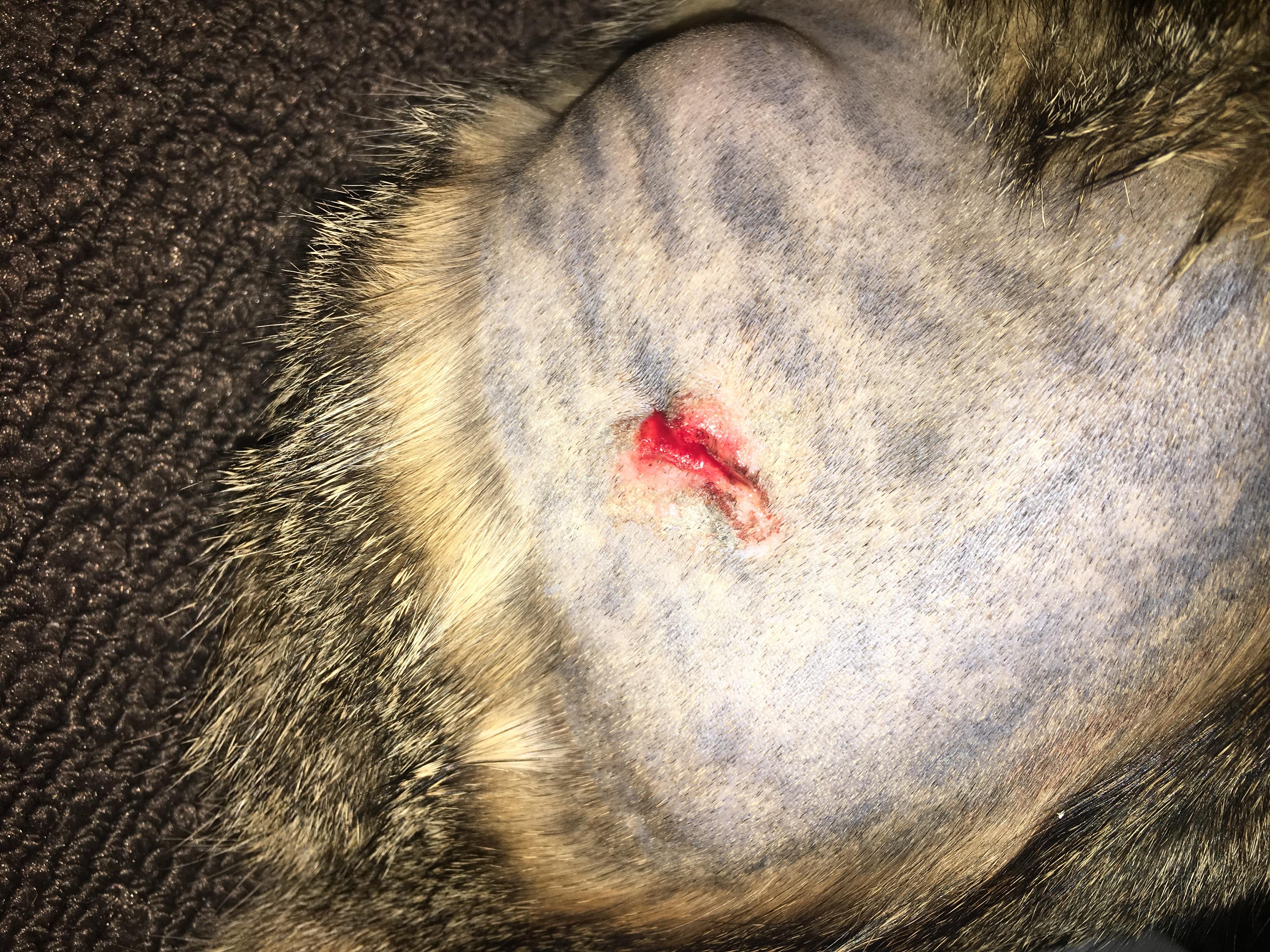 Question details sensitive content