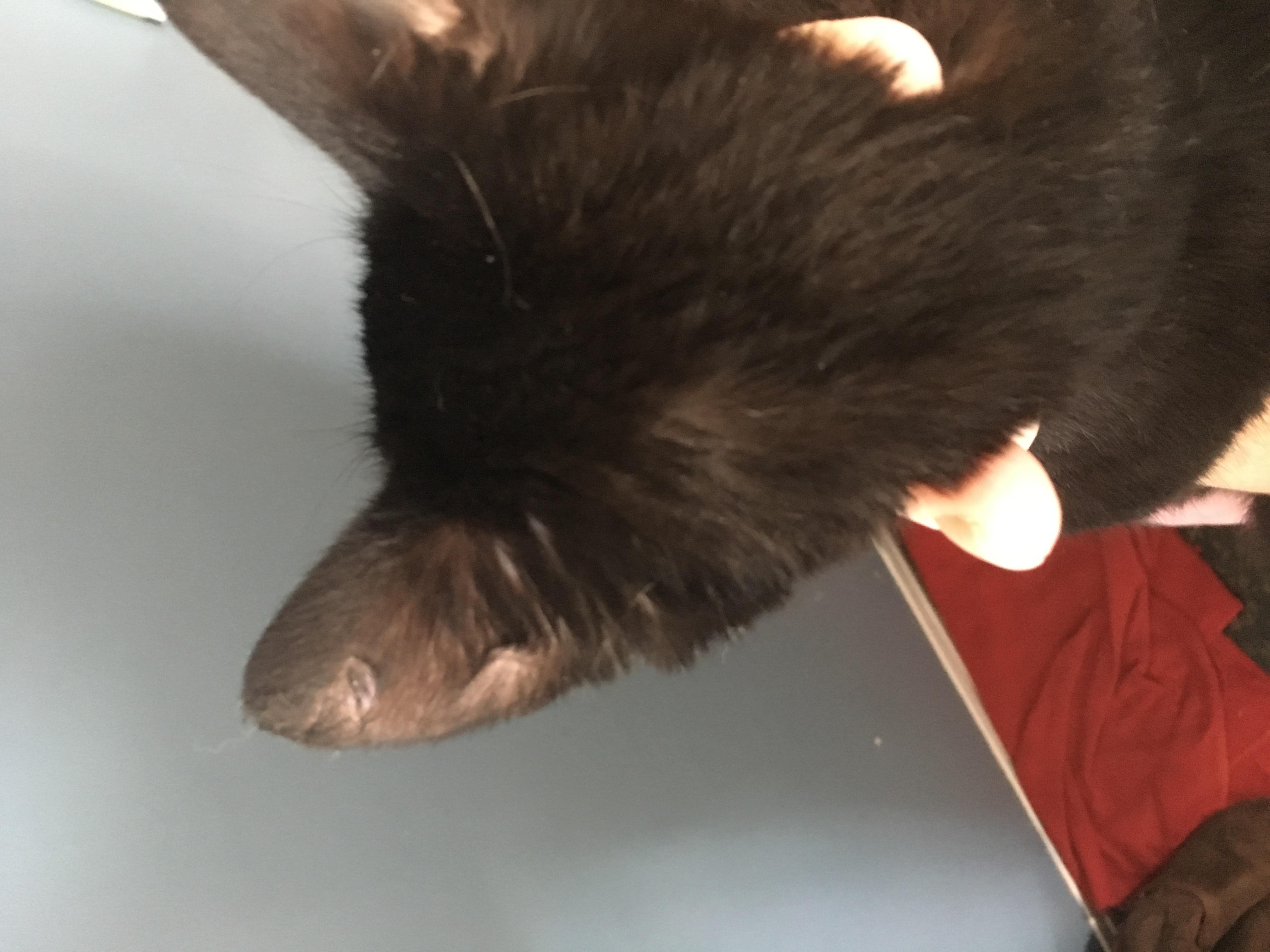 Question details sensitive content