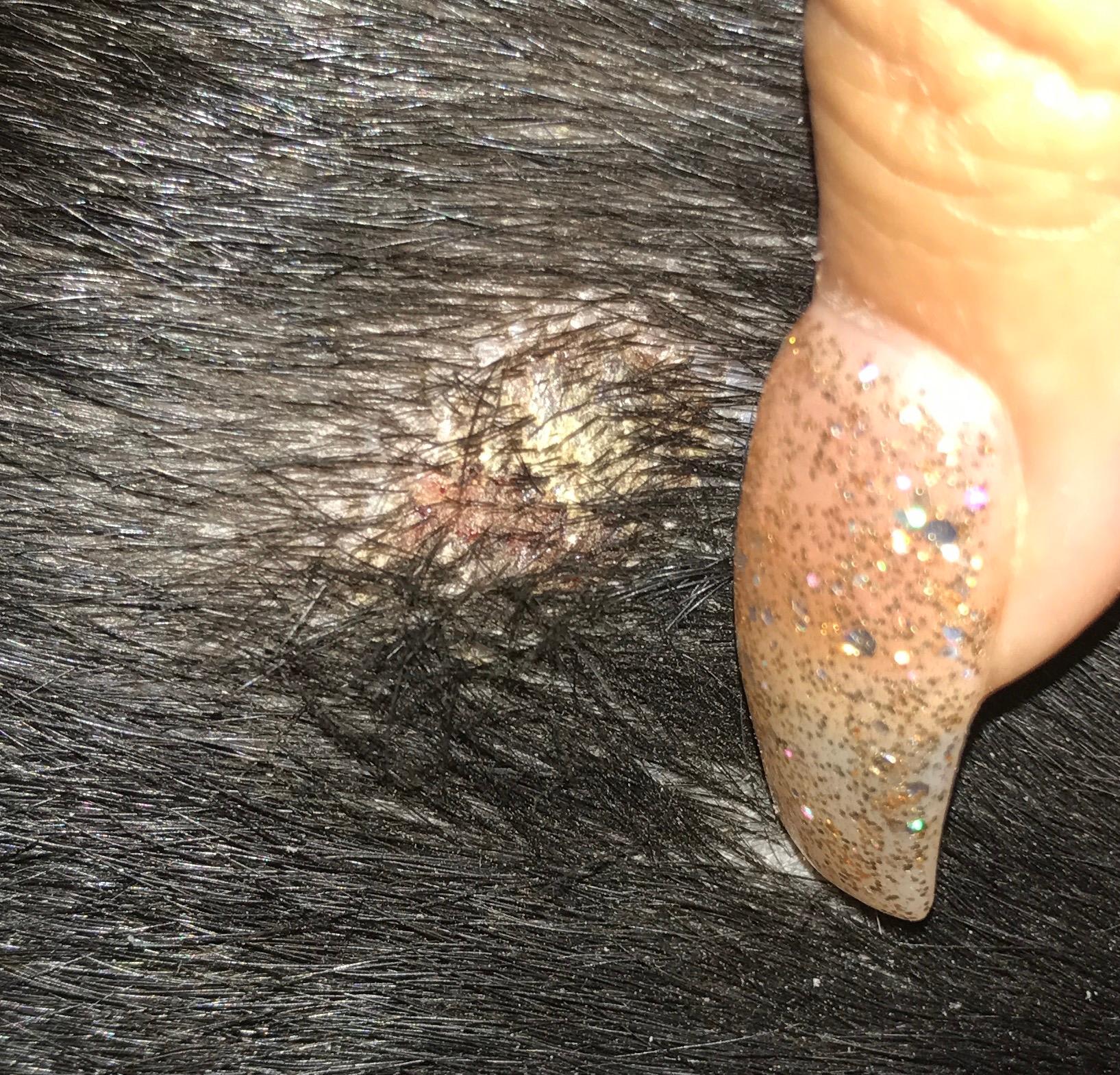 Question details sensitive content