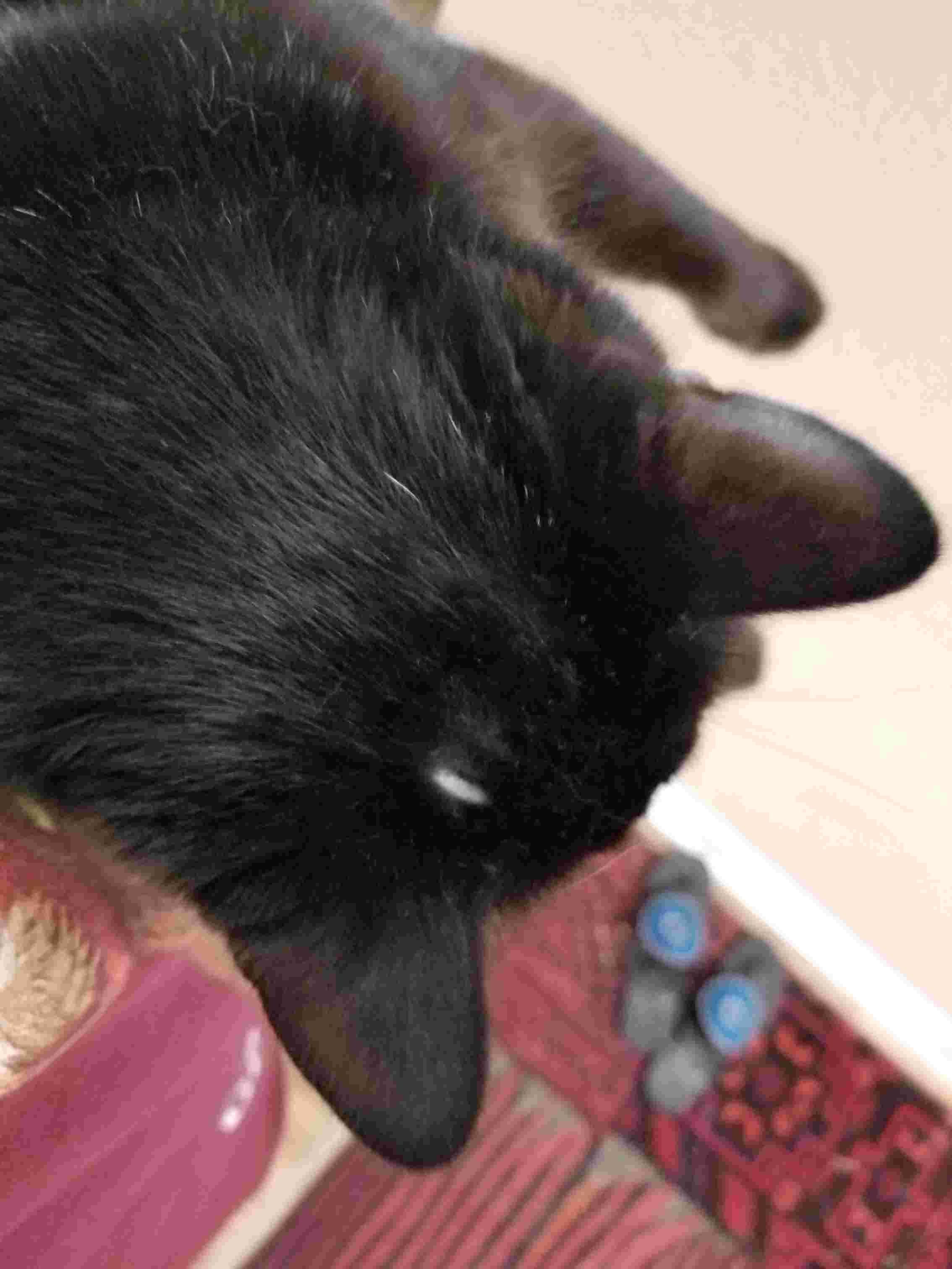 Question details sensitive content