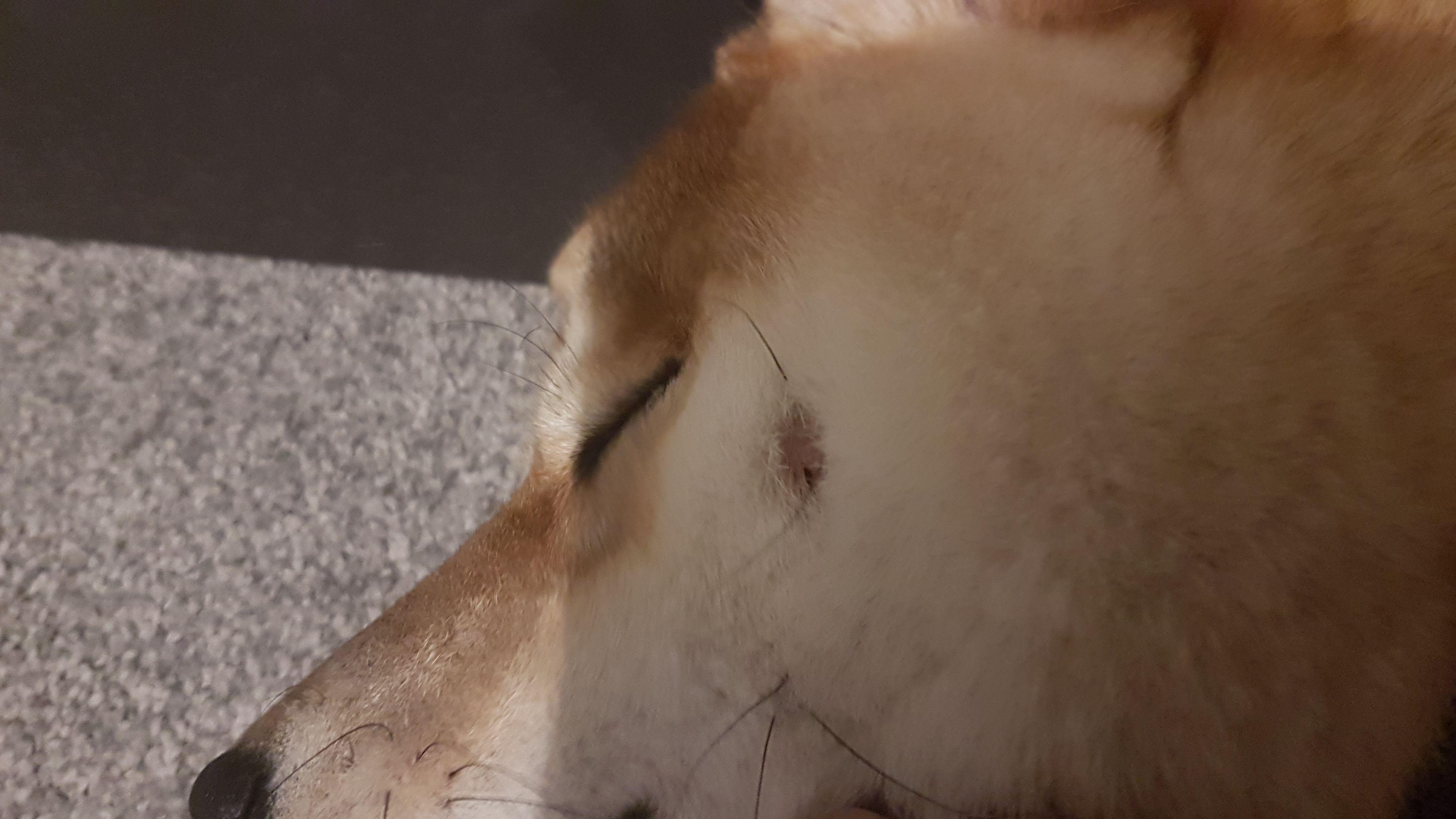 Question details sensitive content