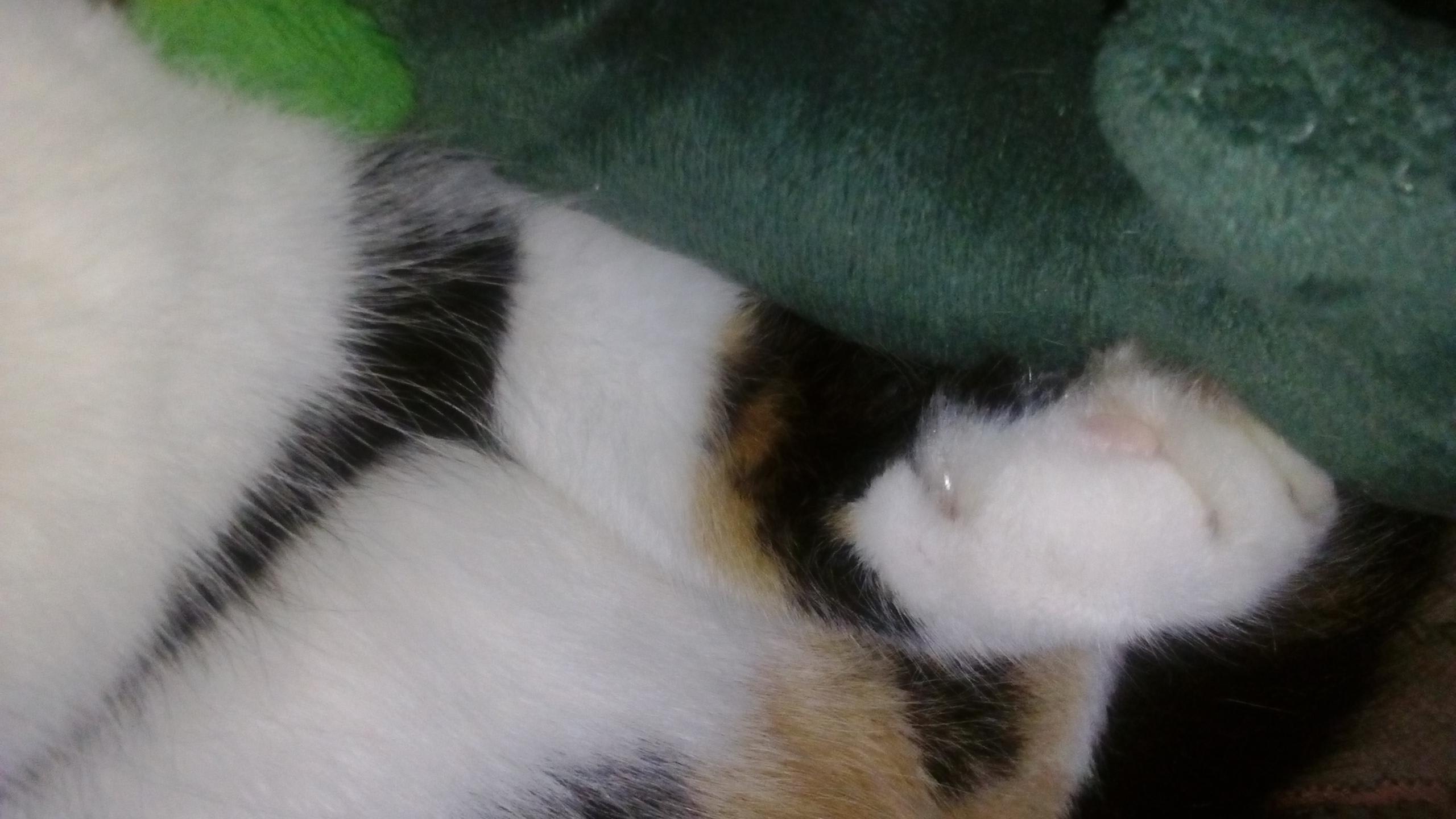 Question details sensitive content