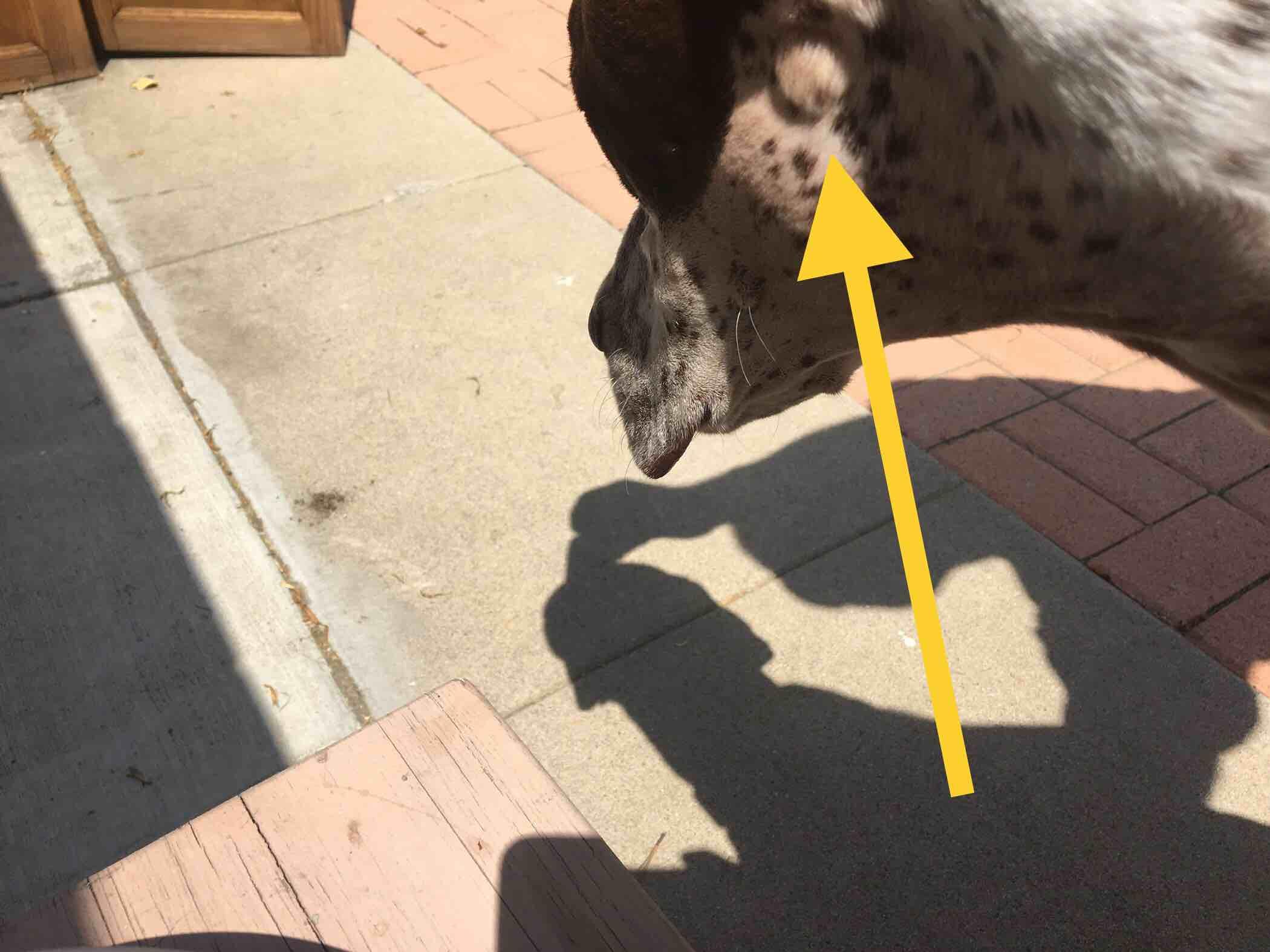 Question details sensitive content