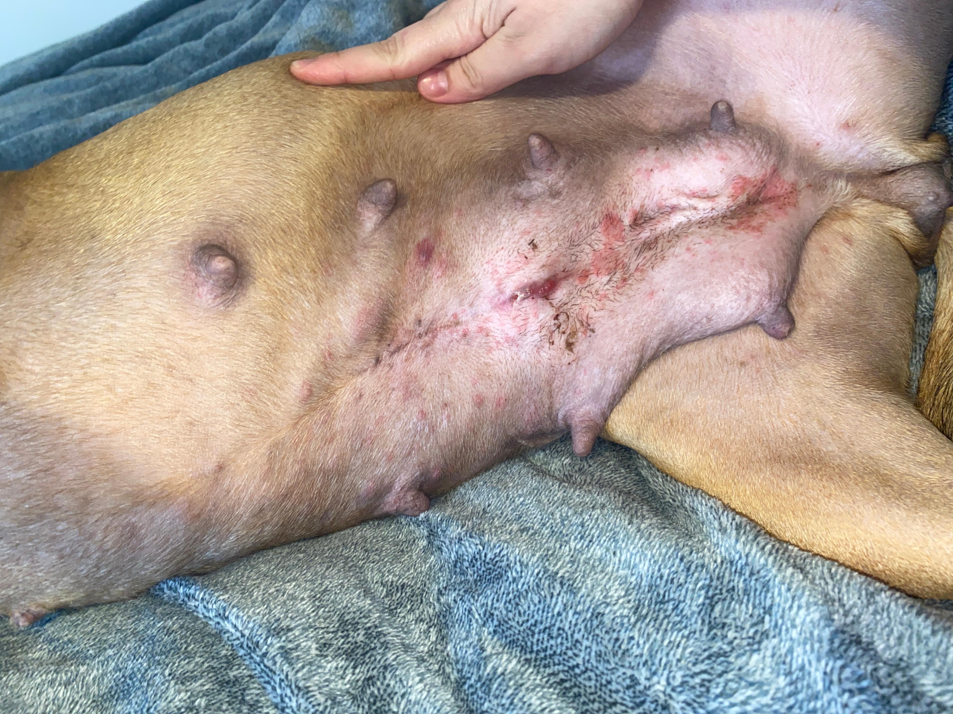 Question details sensitive content