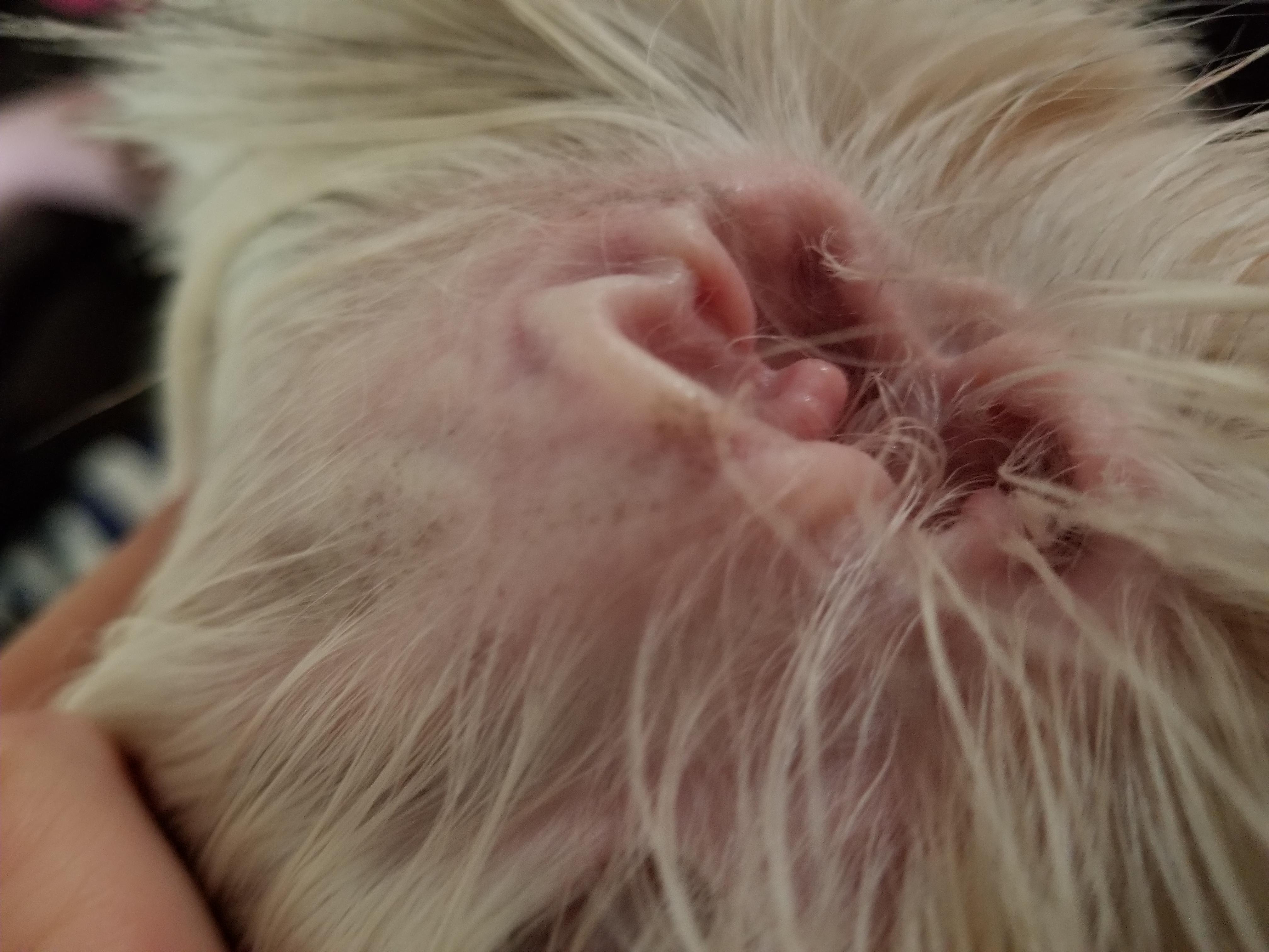 Question details sensitive content