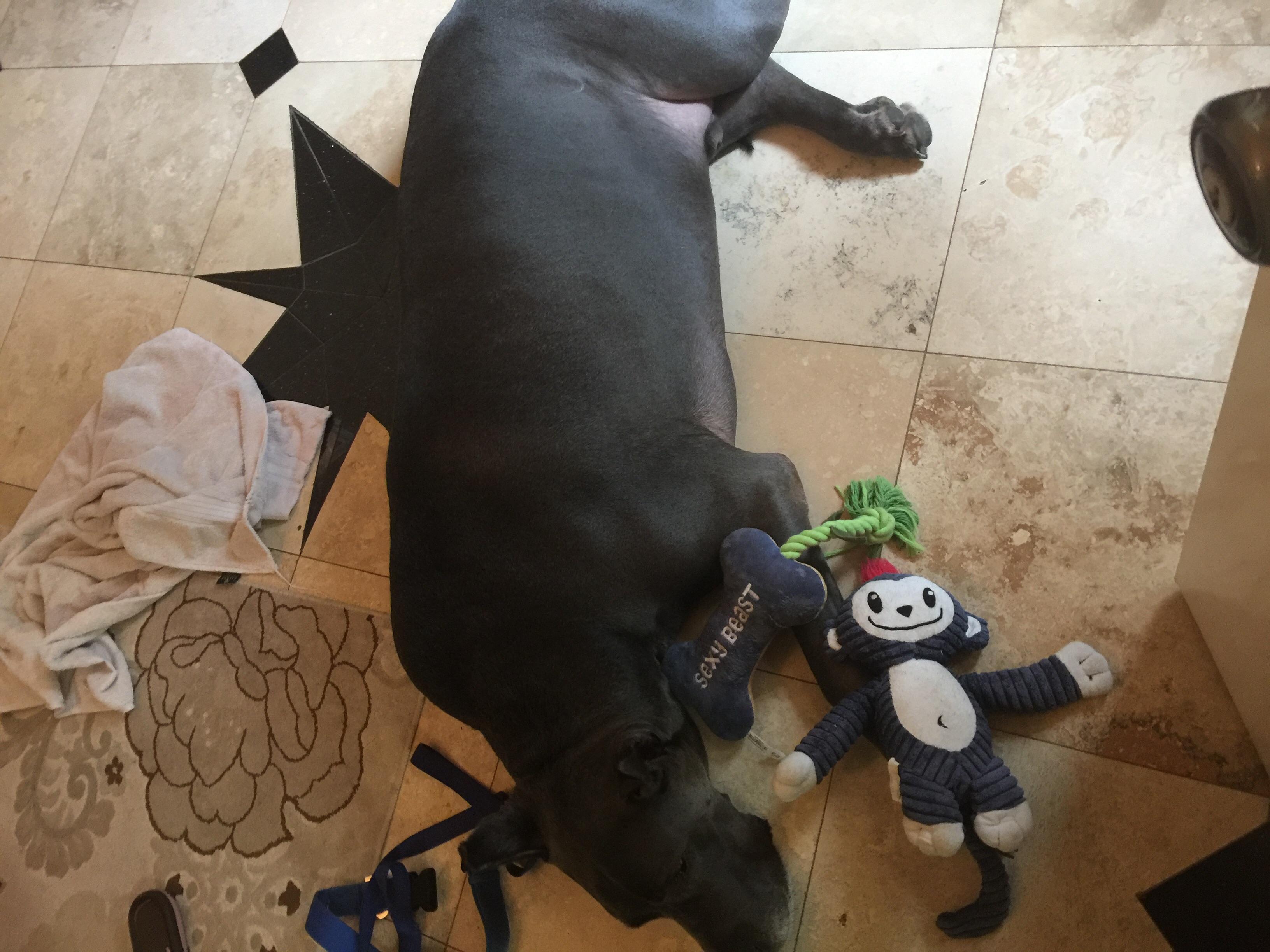 Question details sensitive content