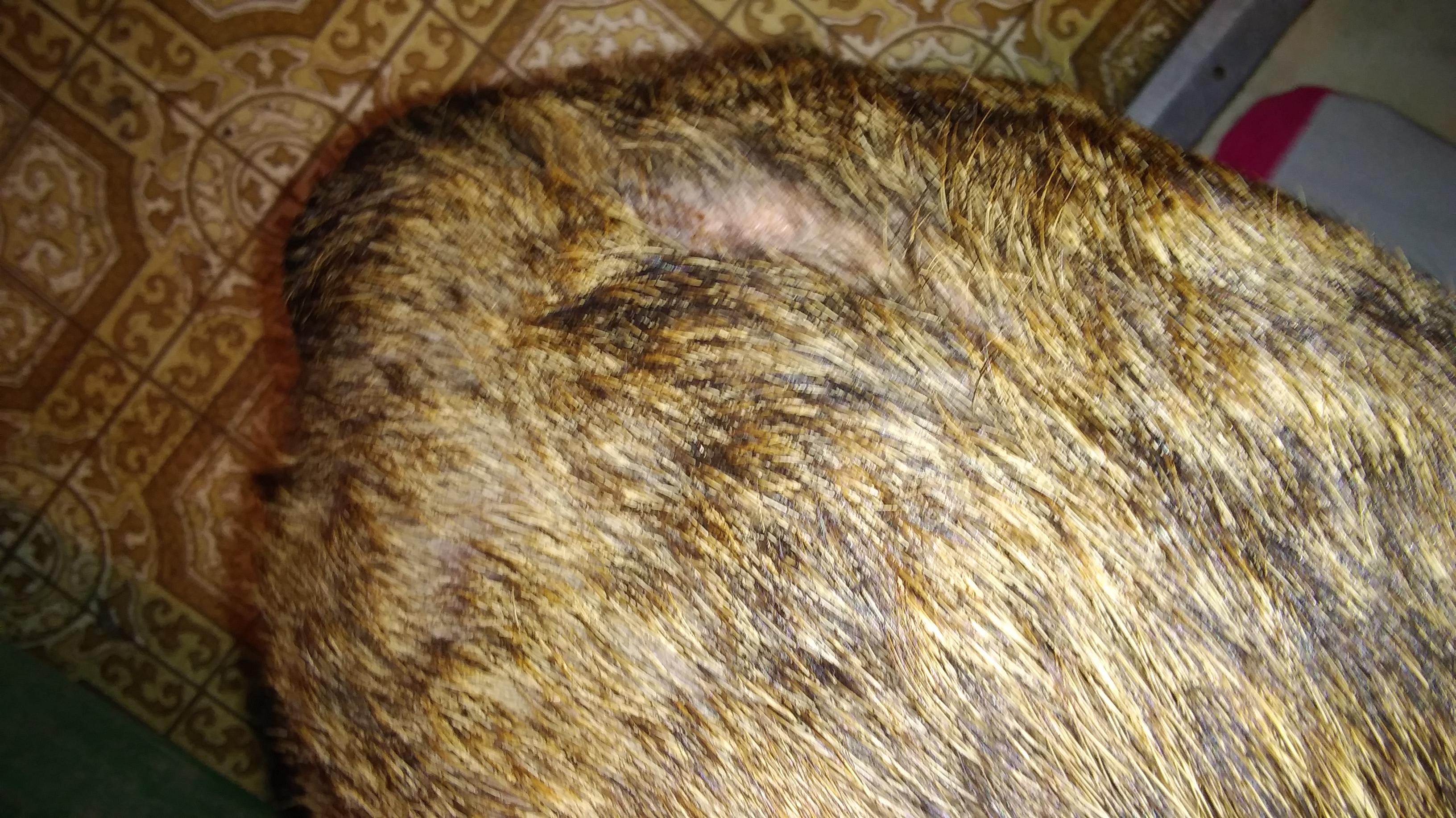 Question details sensitive content