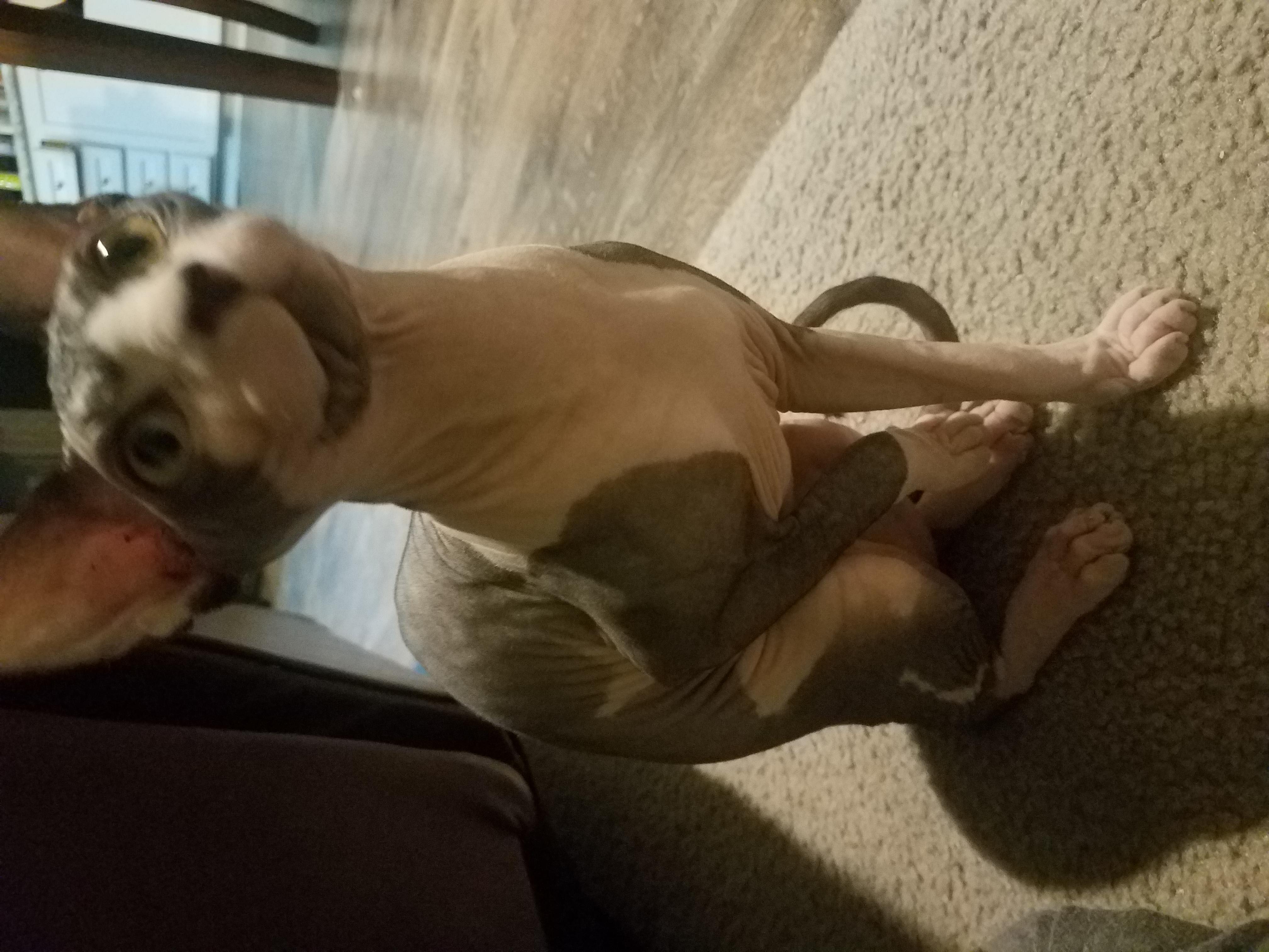 Question details sensitive content