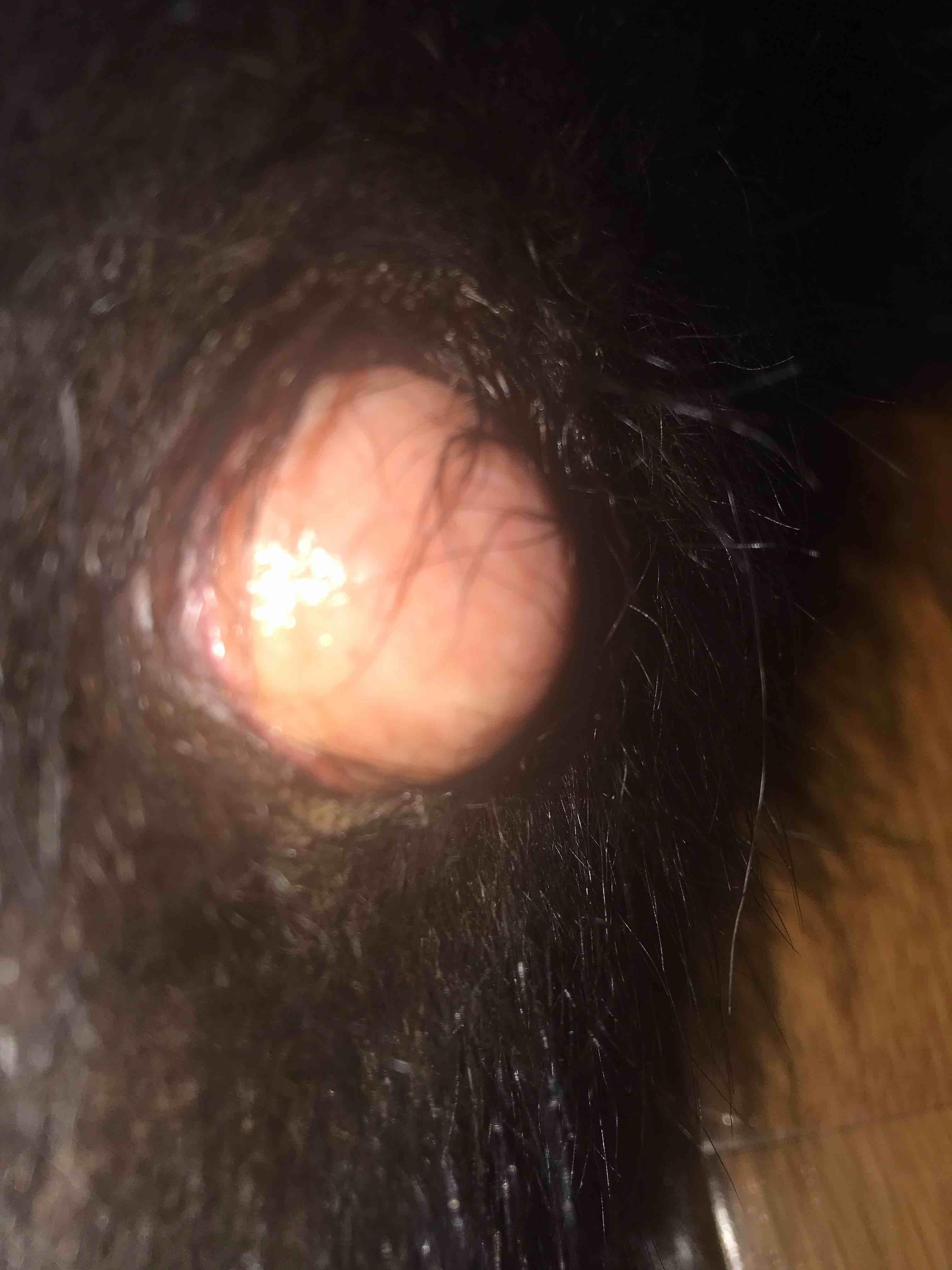 Question details sensitive content