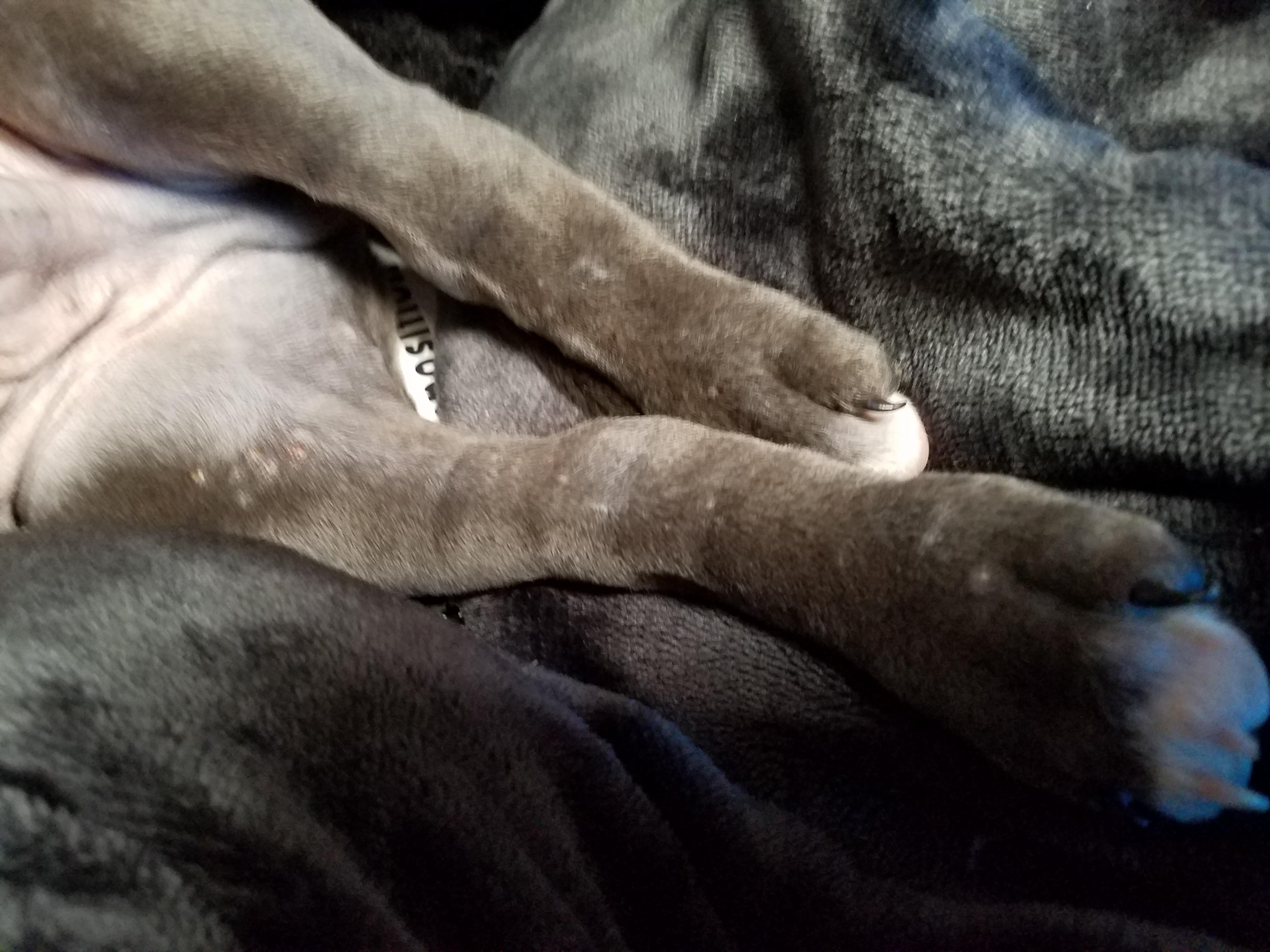 Question details sensitive content