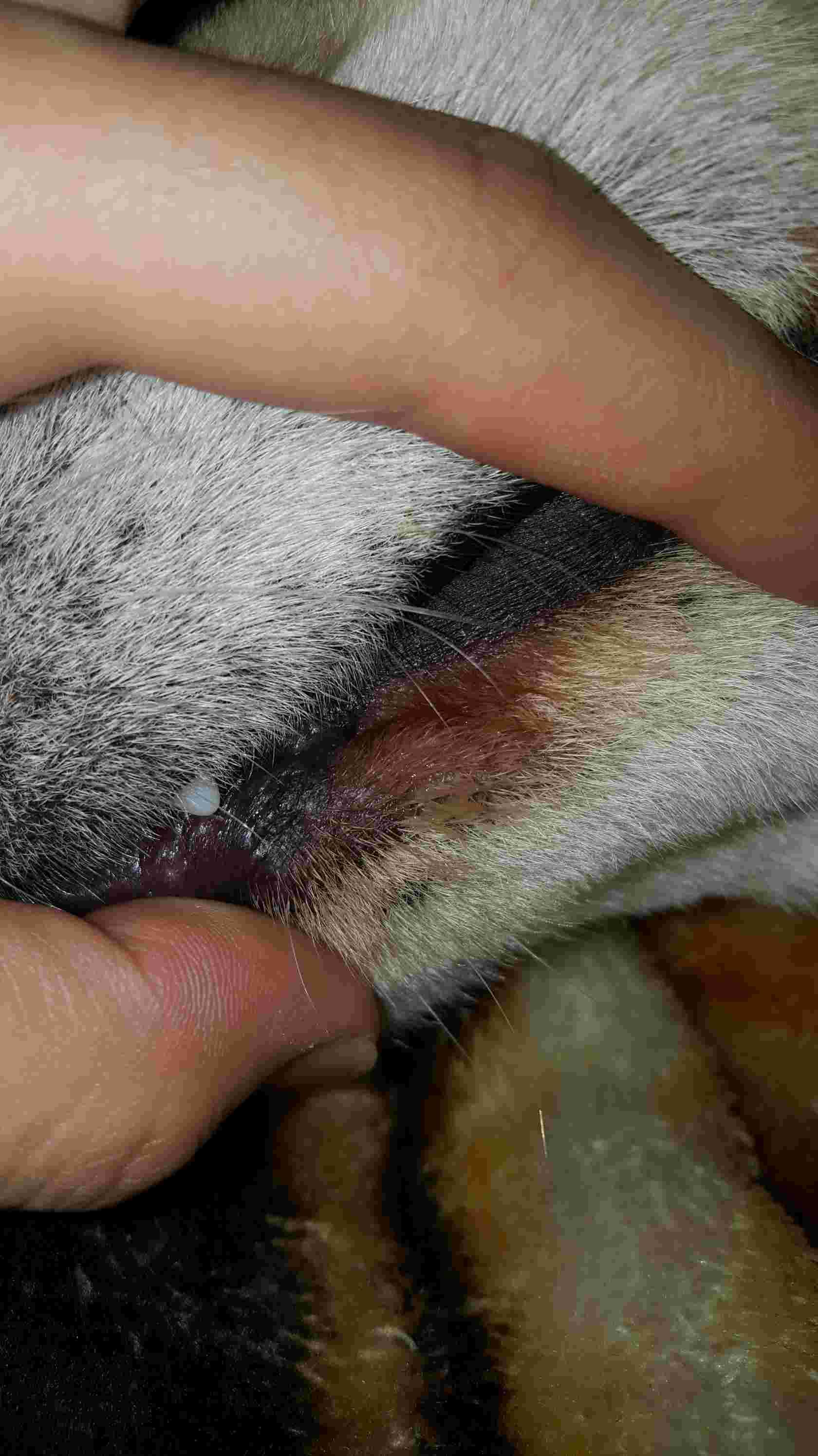 Question details sensitive content