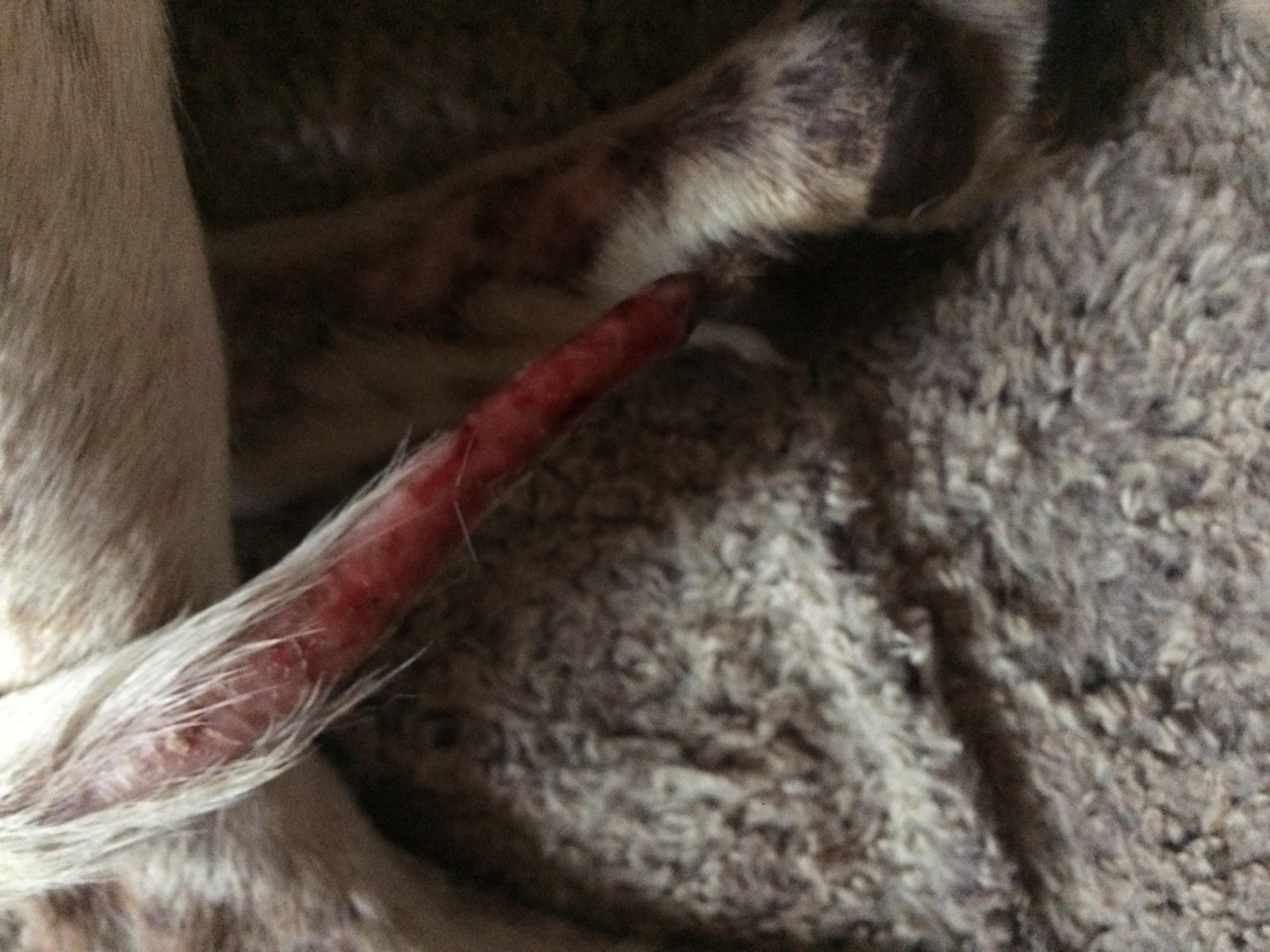 Question details sensitive content