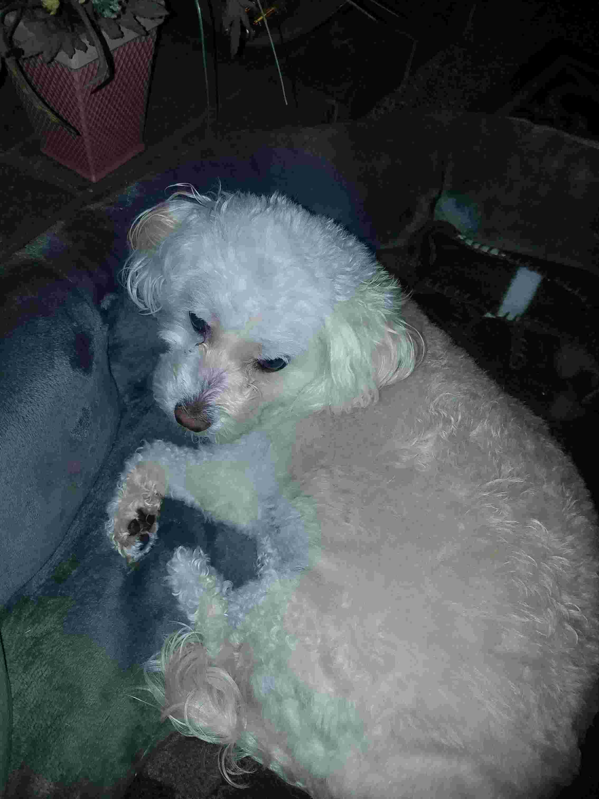 Question details sensitive content