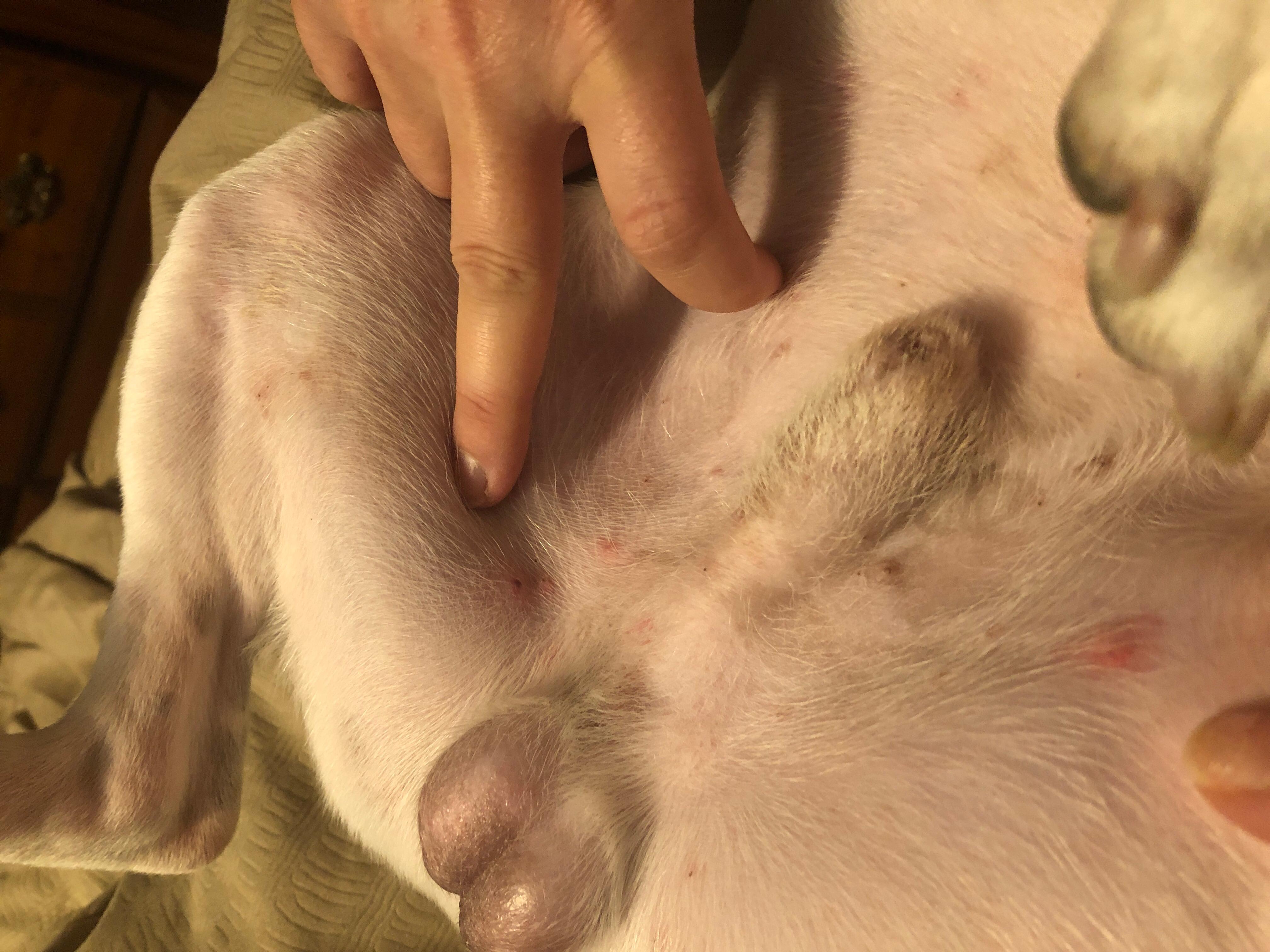 Question details sensitive content