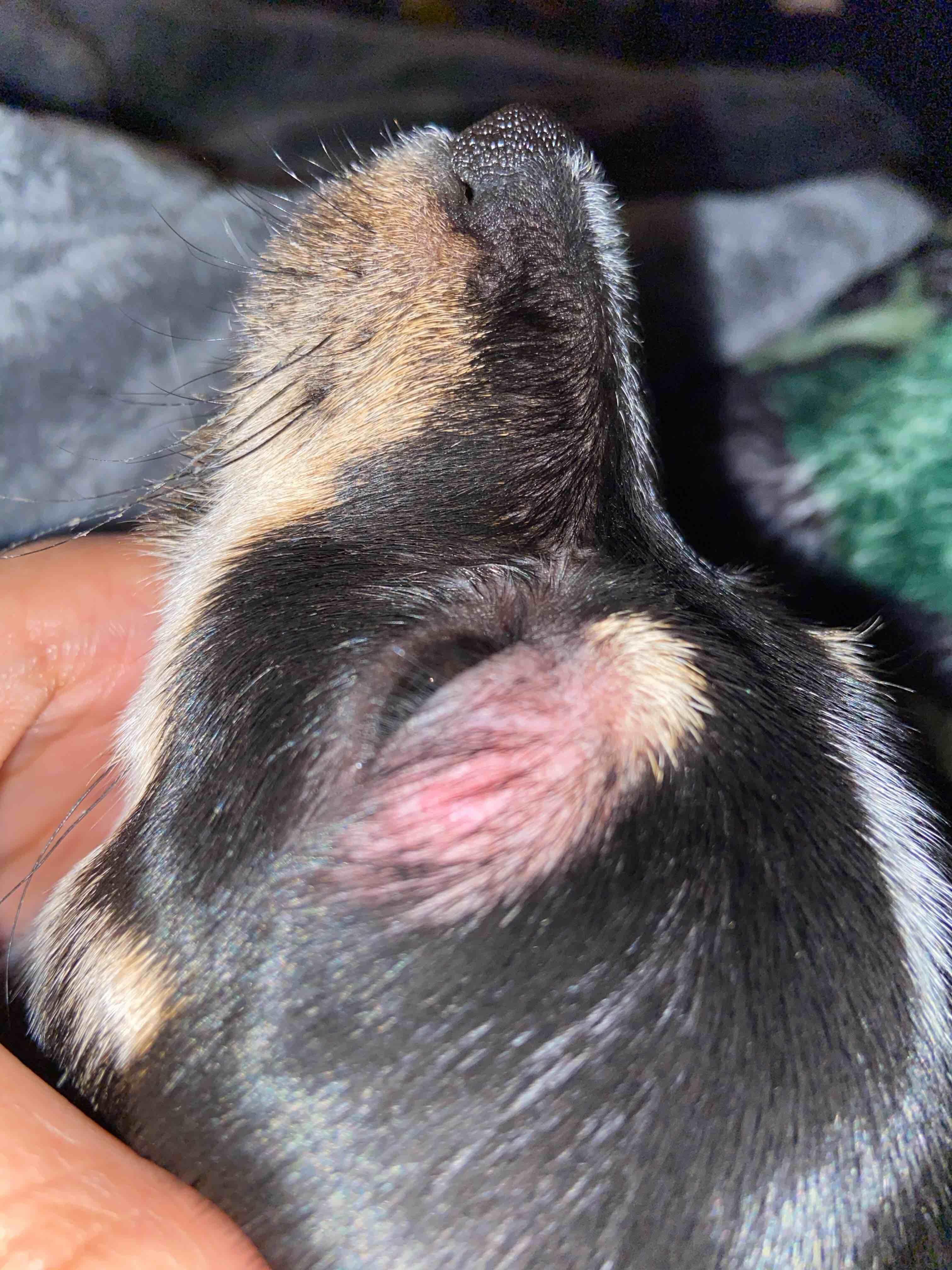 Question details sensitive content