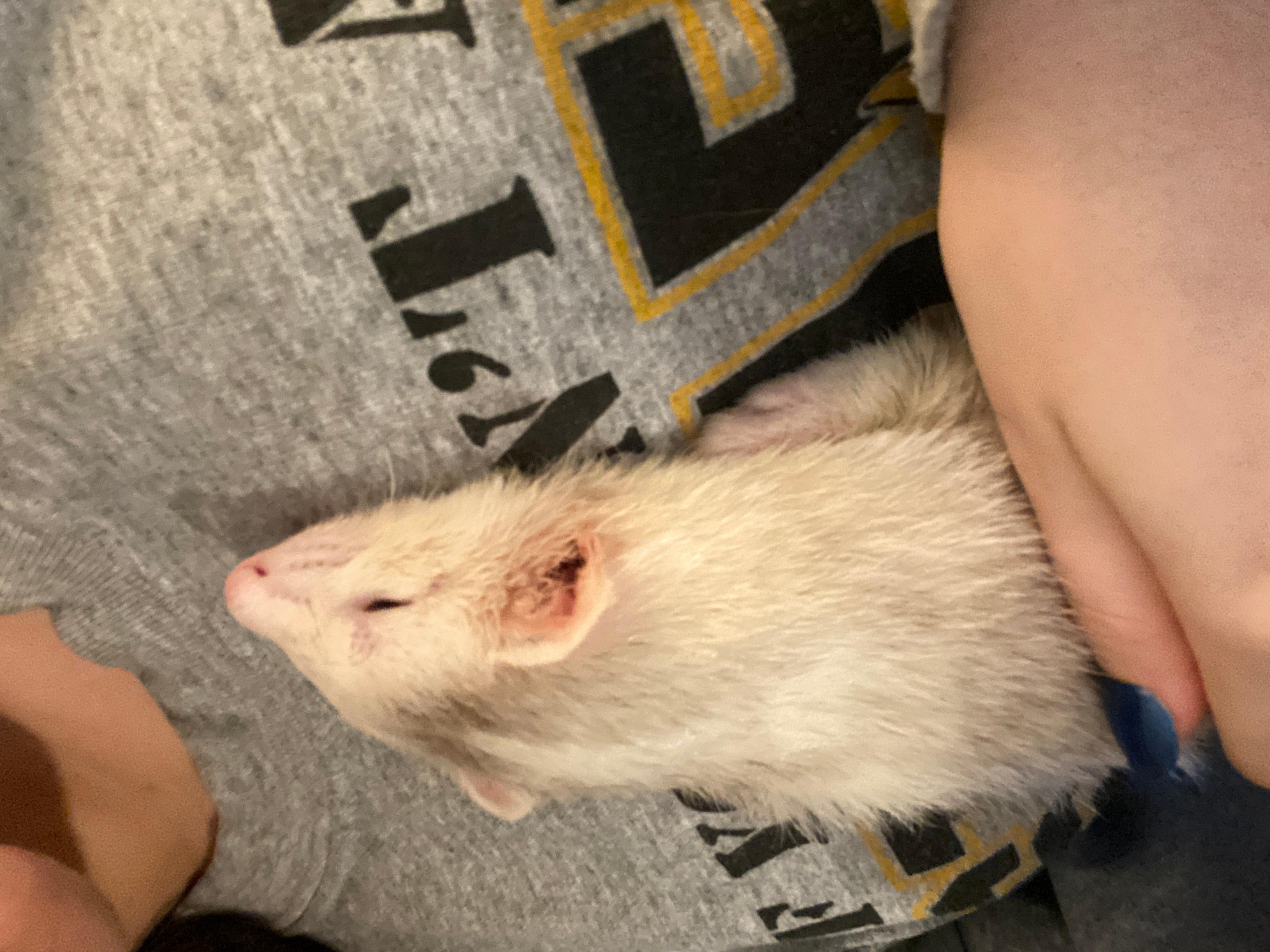 Question details sensitive content