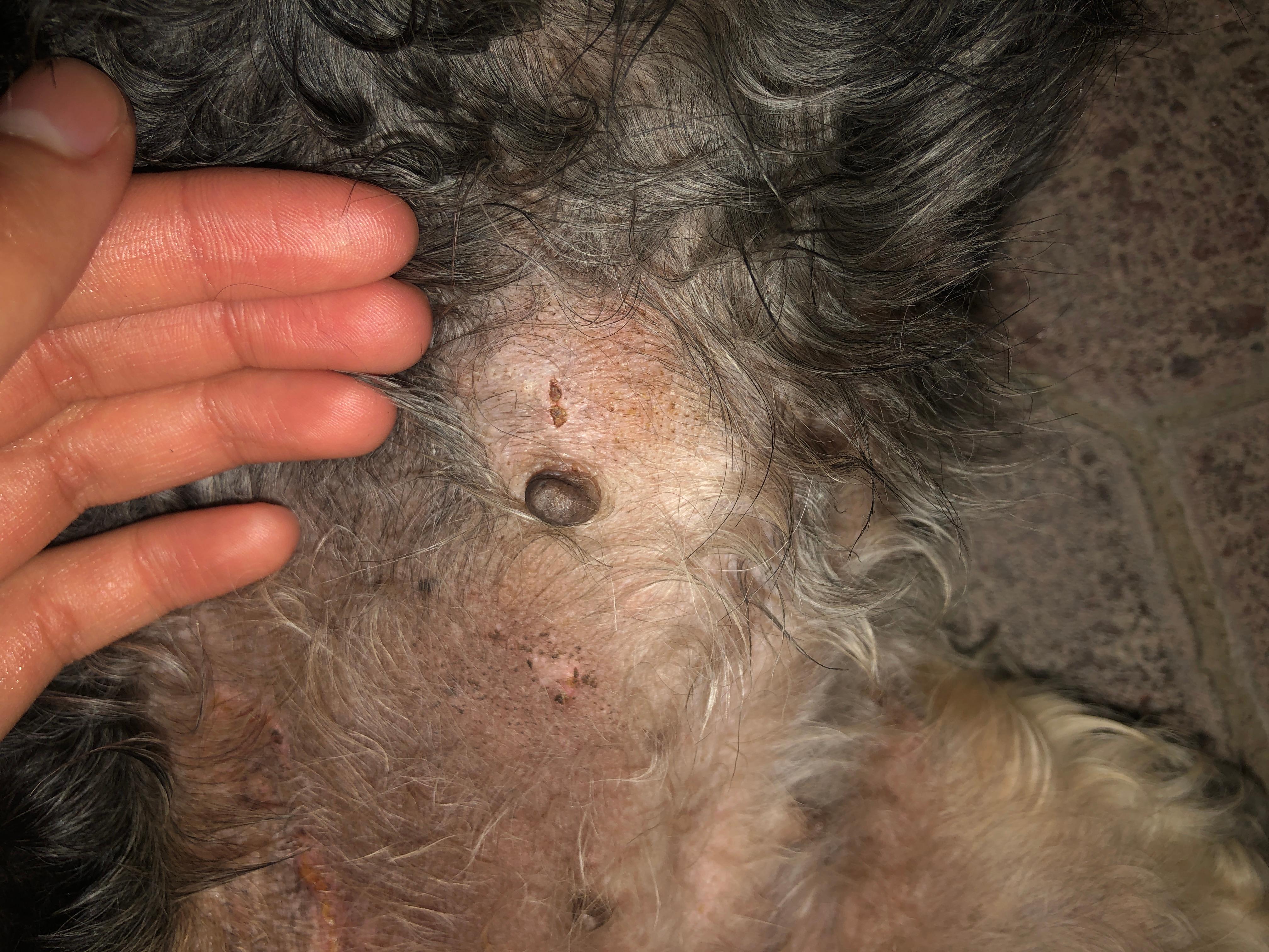 Question details sensitive content