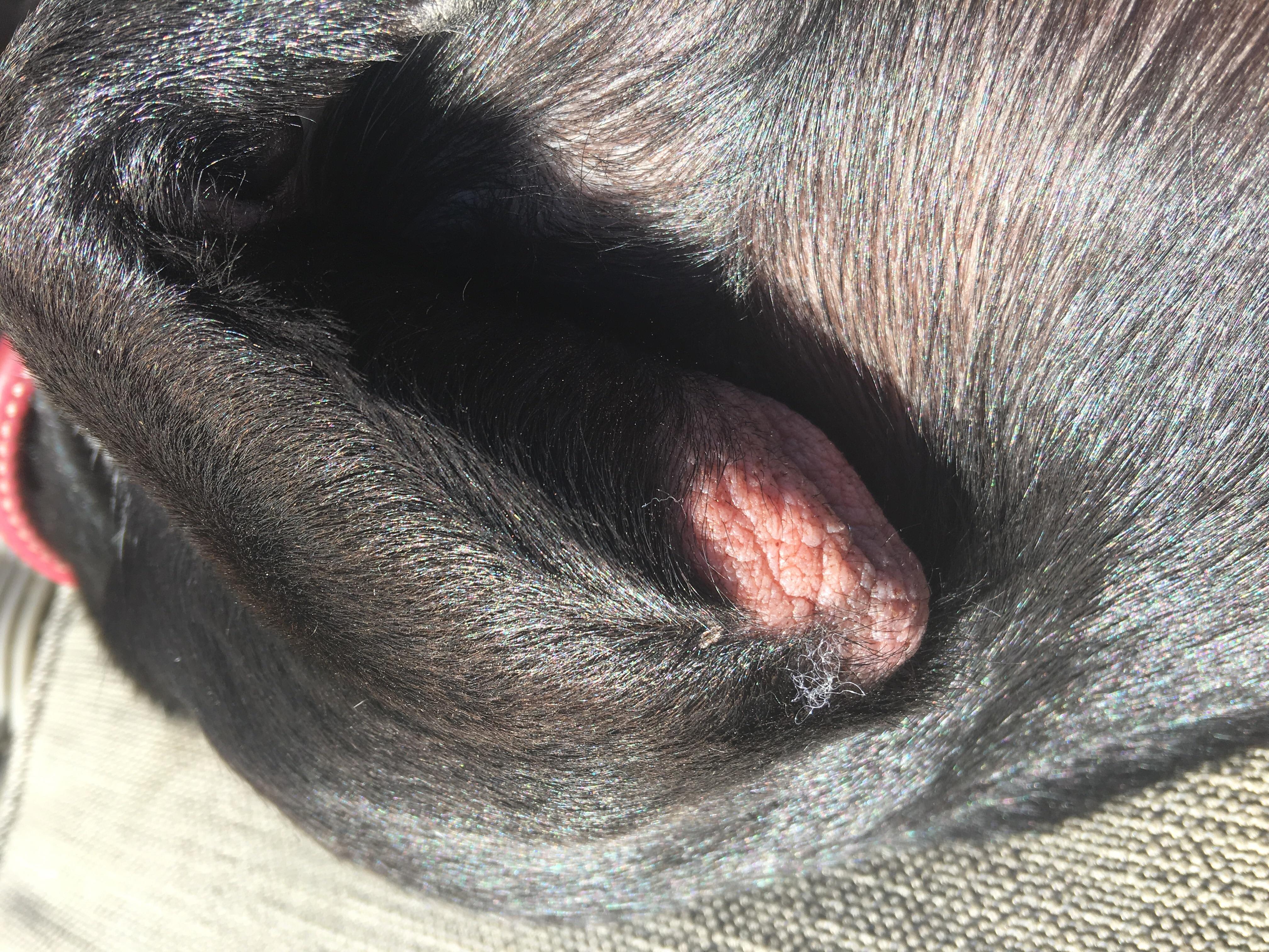 Question details sensitive content