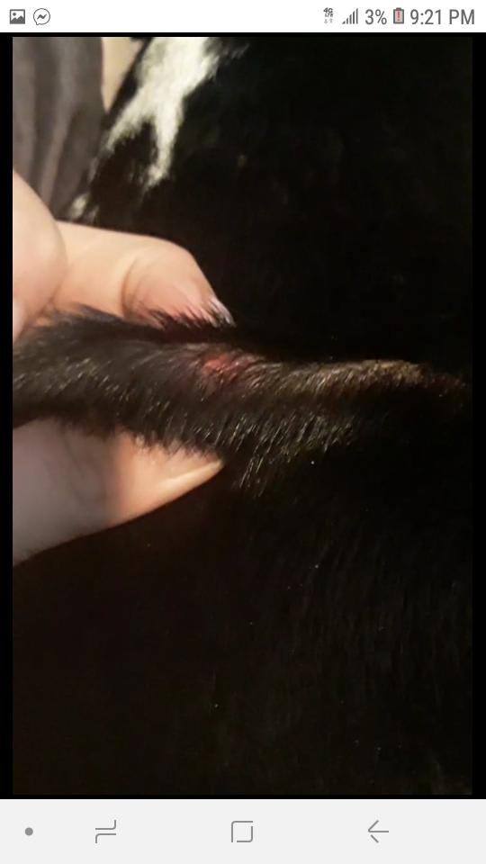 Question details sensitive content