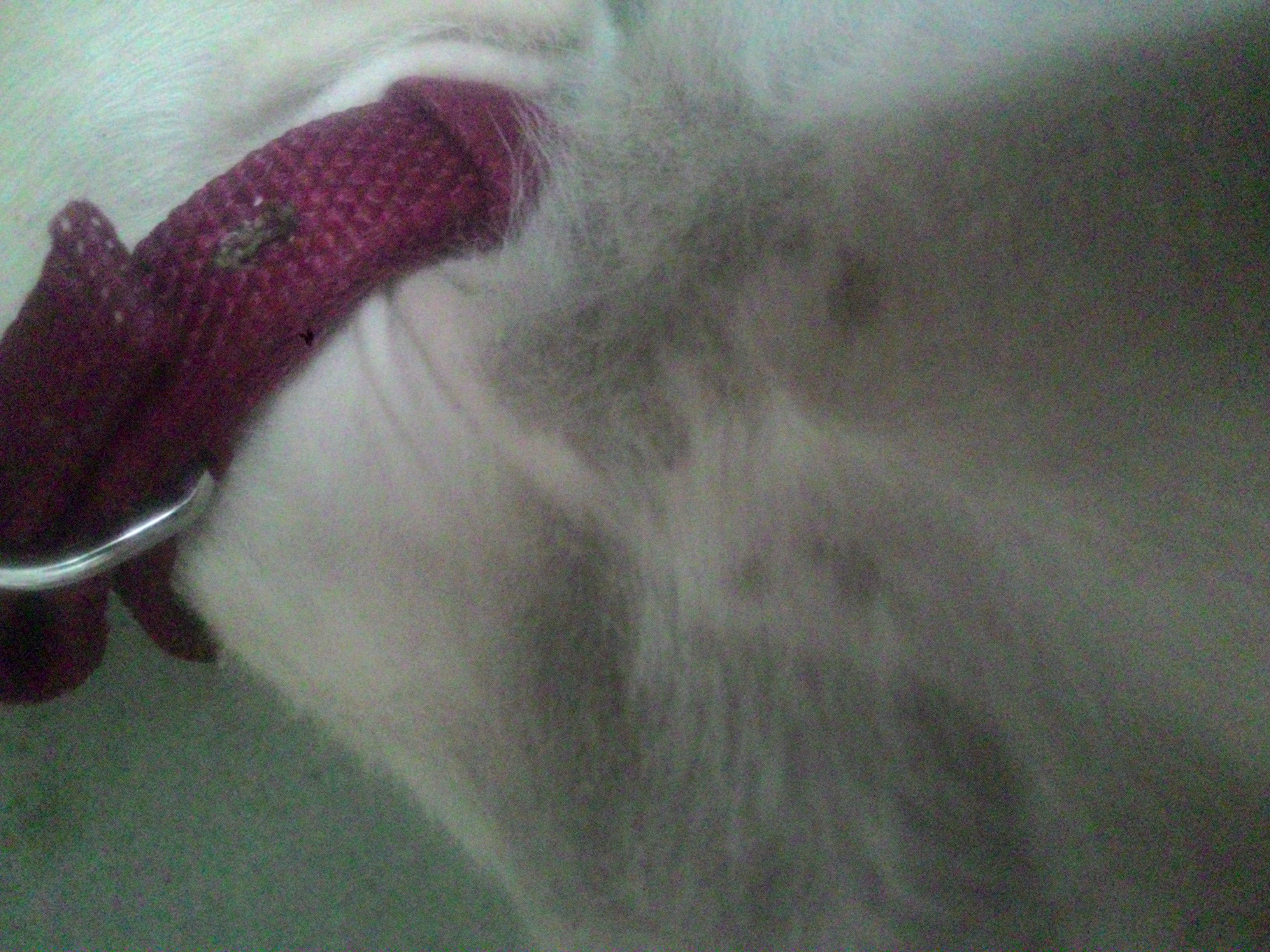 Question details sensitive content