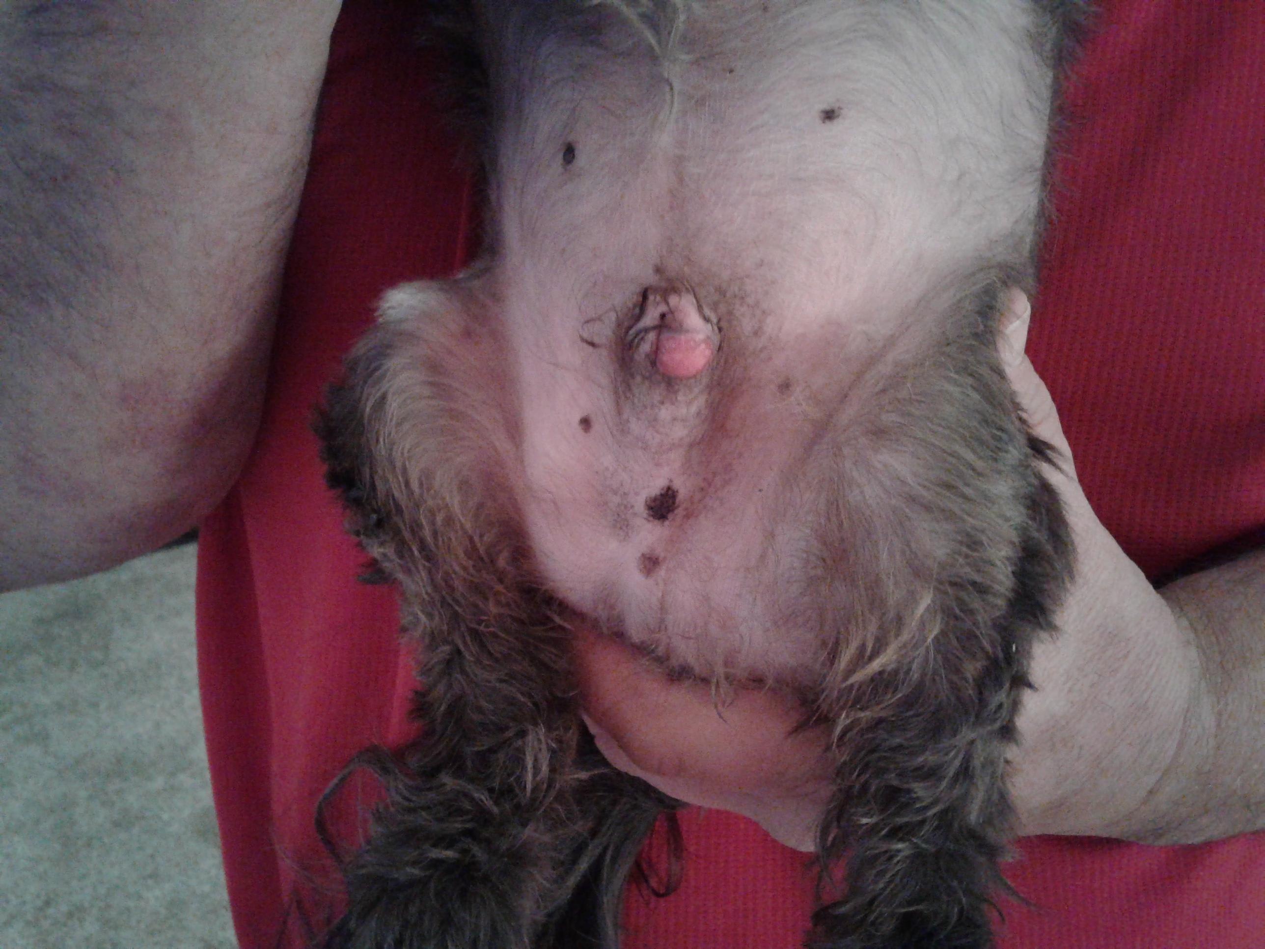 Question details sensitive content