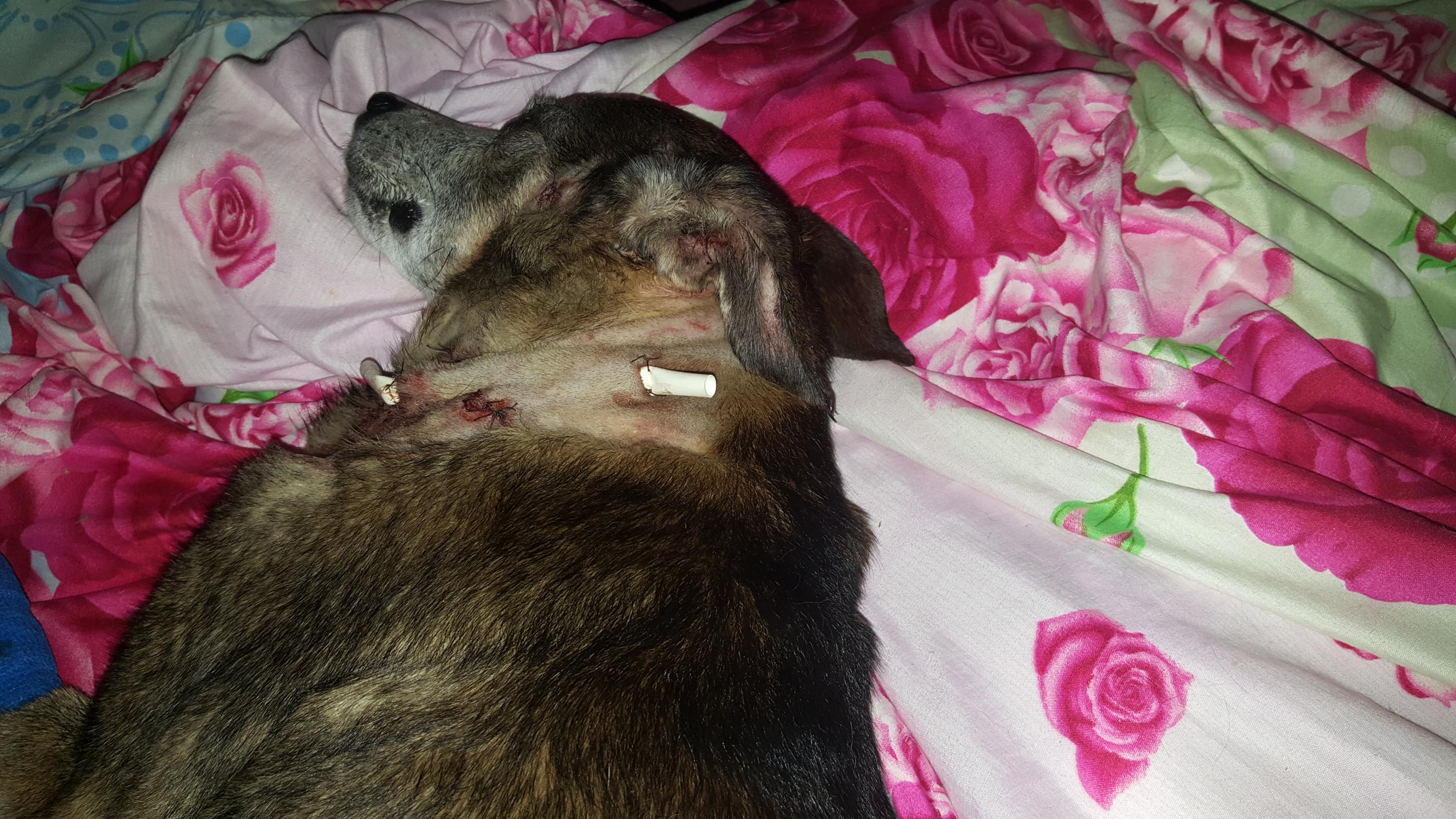 Question details sensitive content