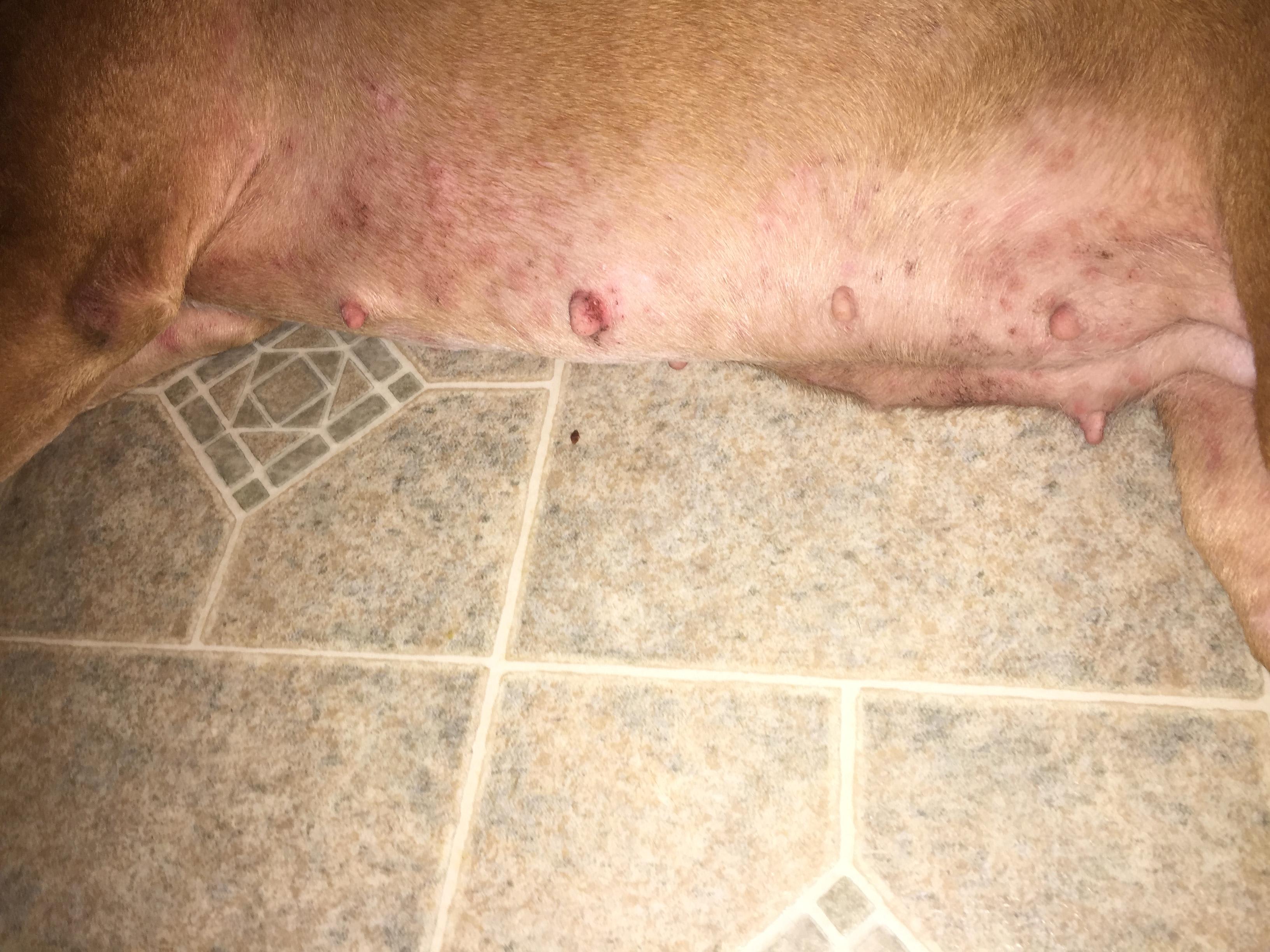 Question details sensitive content