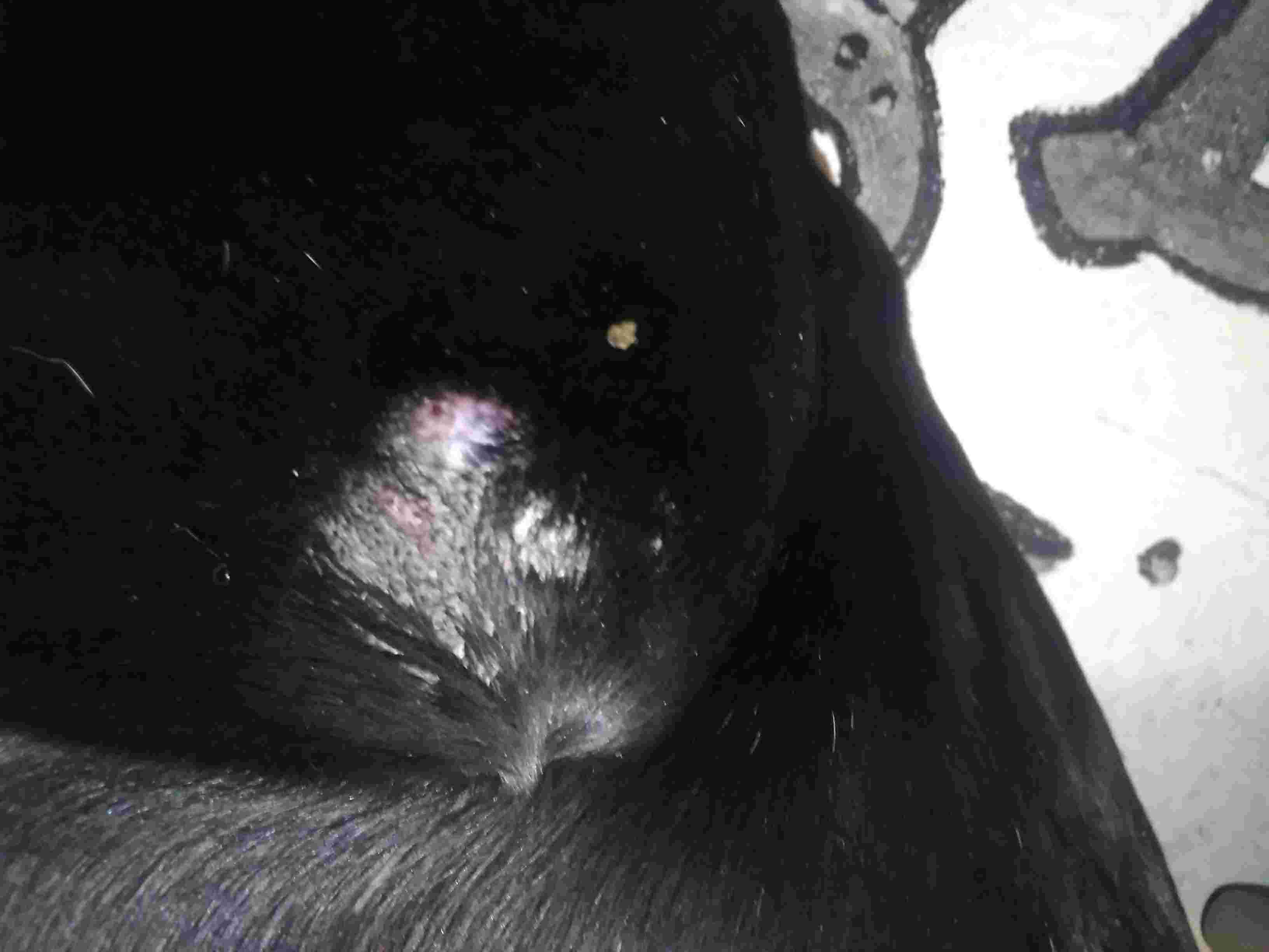 Question details sensitive content